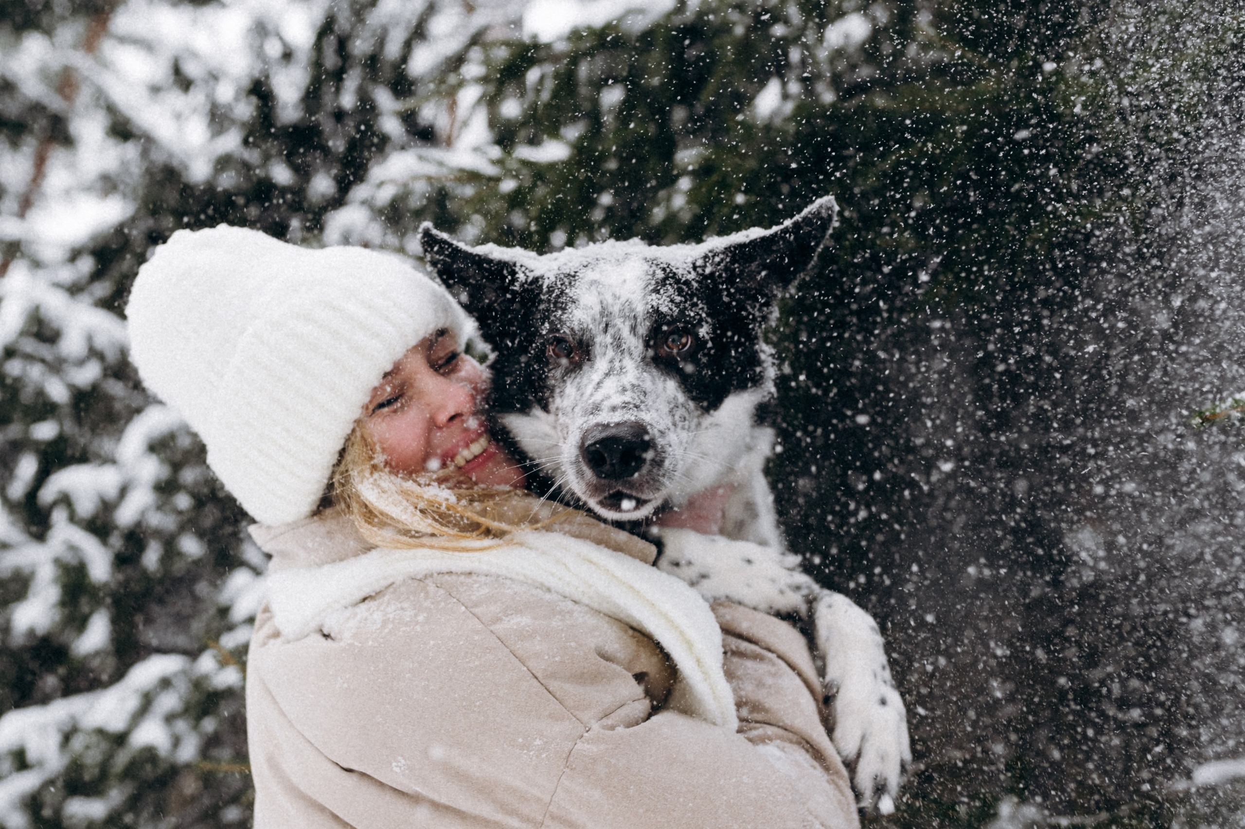 Аня и Милан. Фотограф анималист в Москве Ольга Агушева