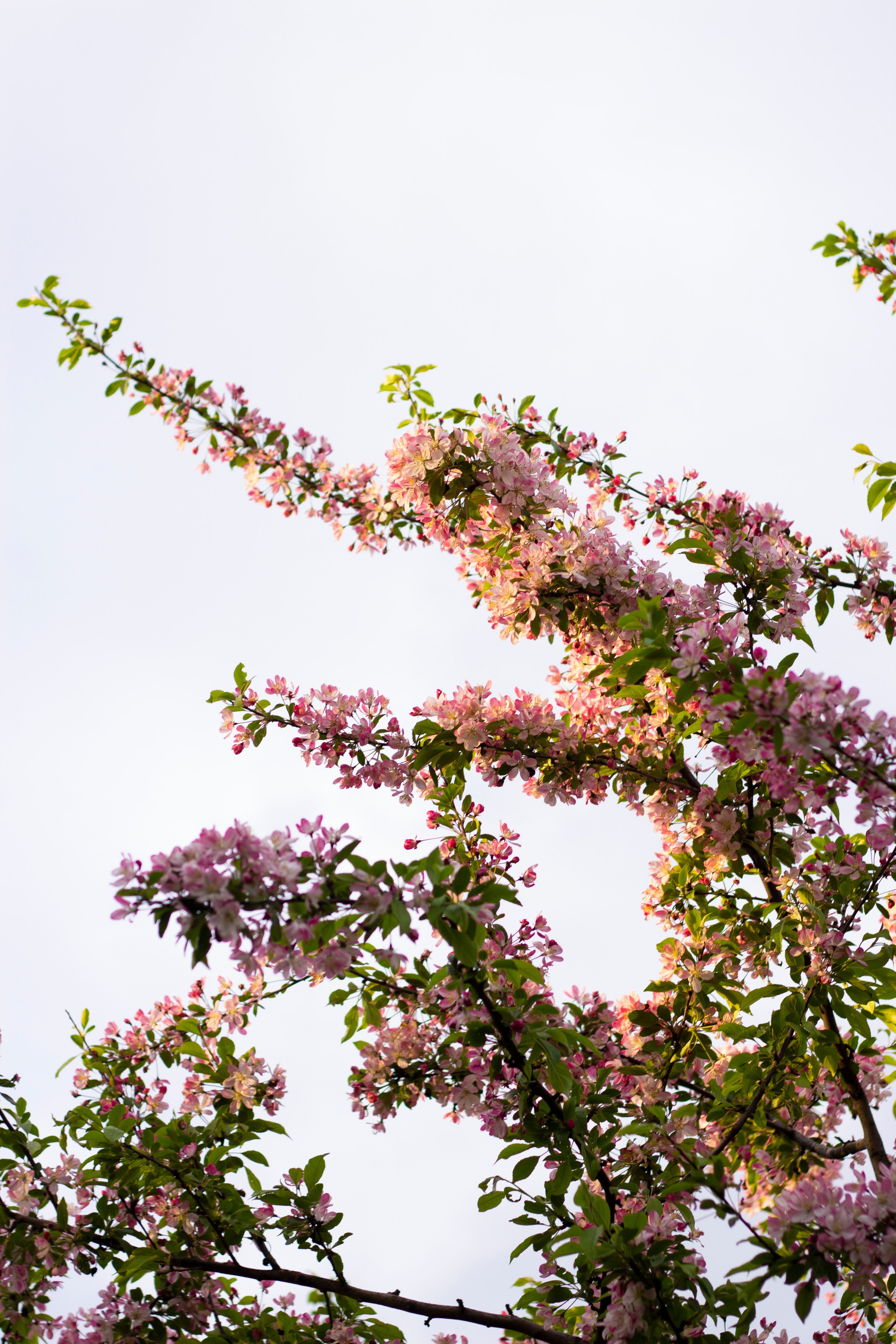 Катя, Кирилл, Тёма и Аня. Фотограф в Санкт-Петербурге Смирнова Диана