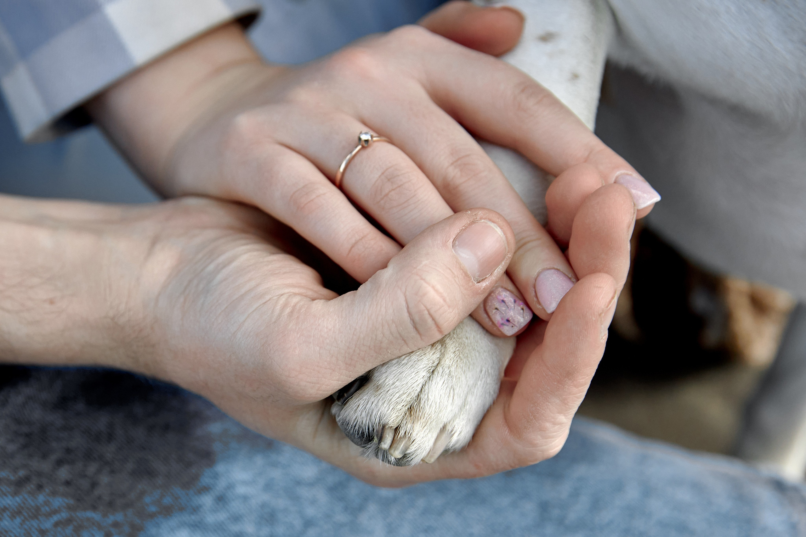 Саша и Настя. Фотограф Александр Казин