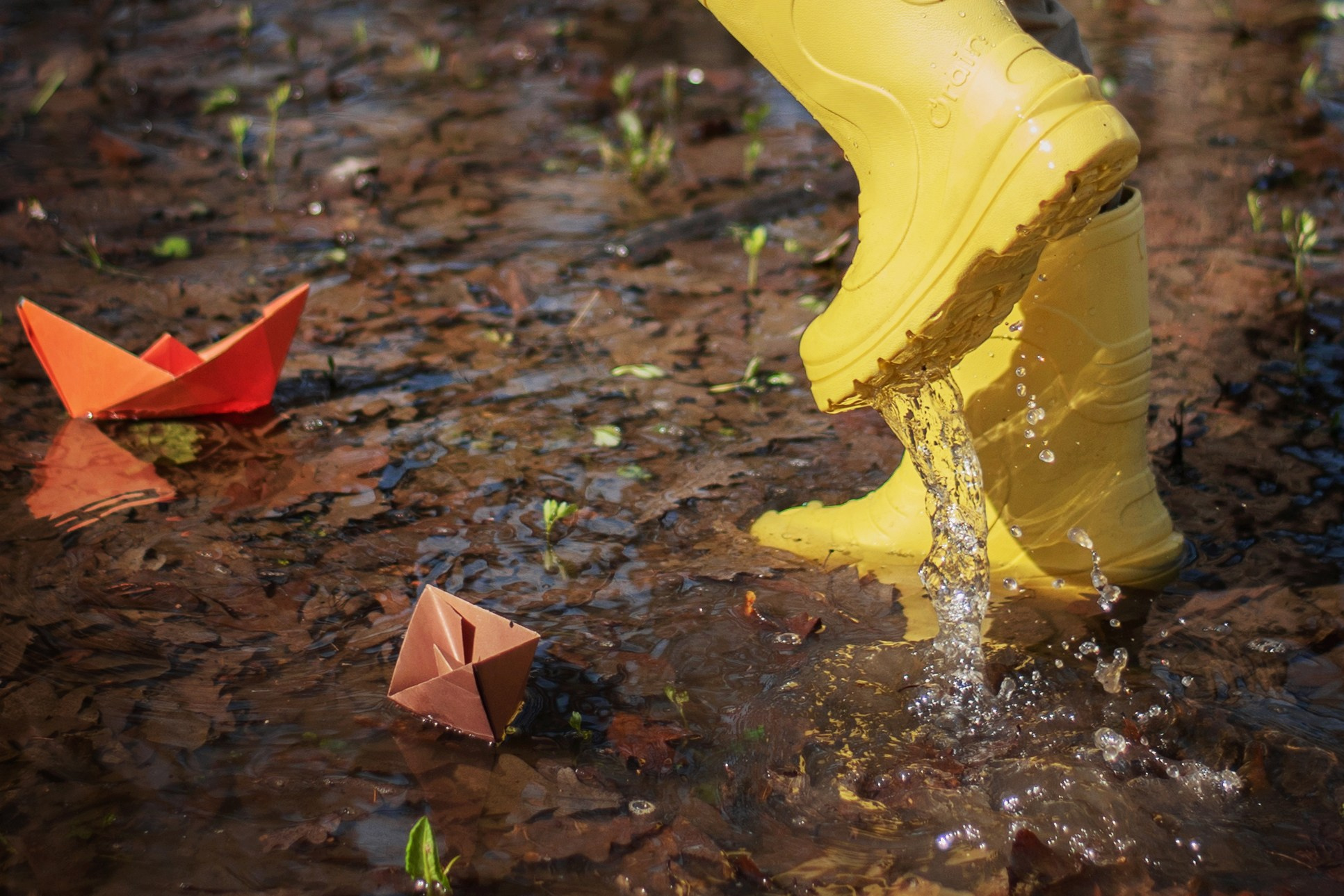 Весна. Лина Курочка — ваш фотограф