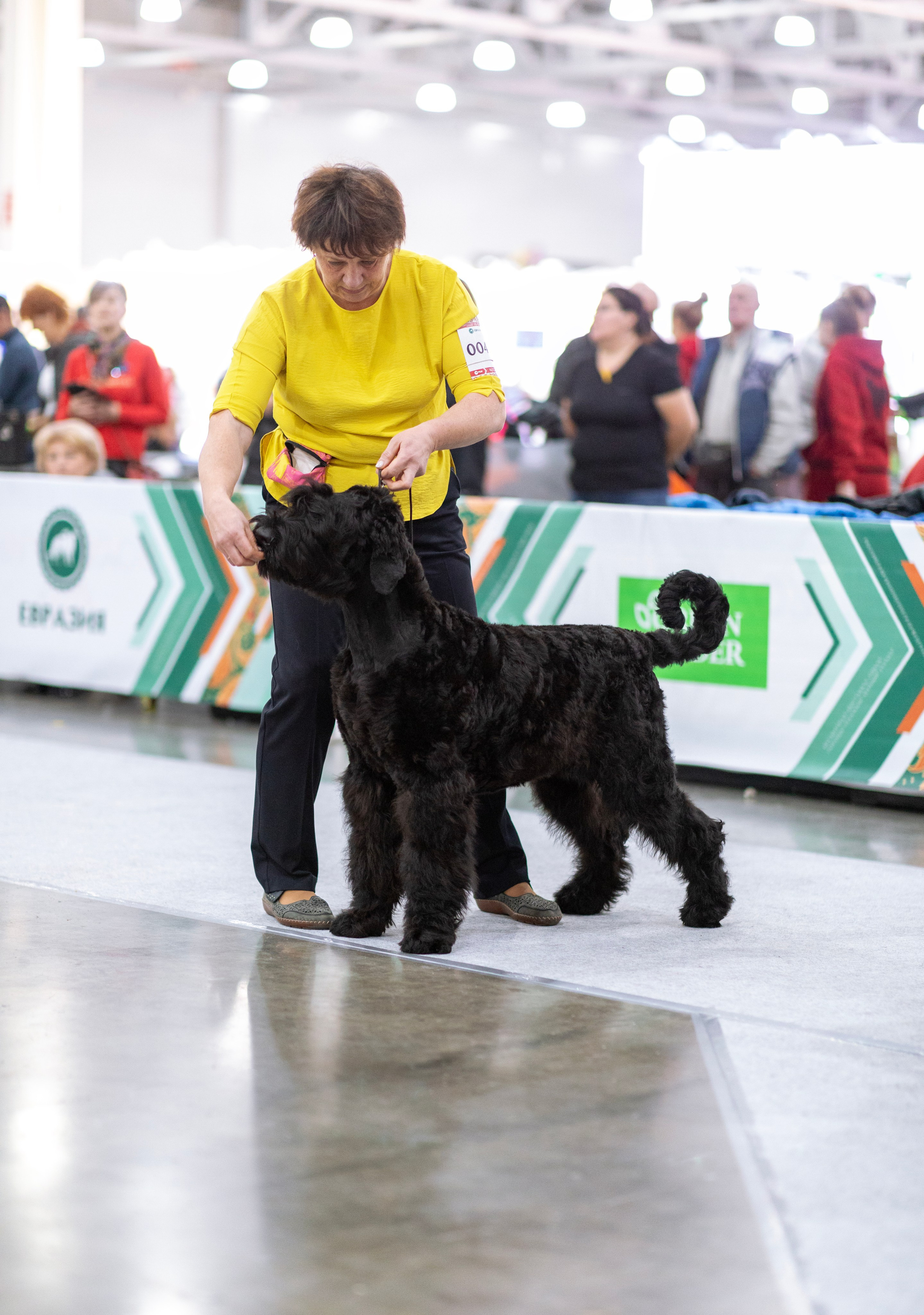 Евразия. Фотограф — анималист Татьяна Ли