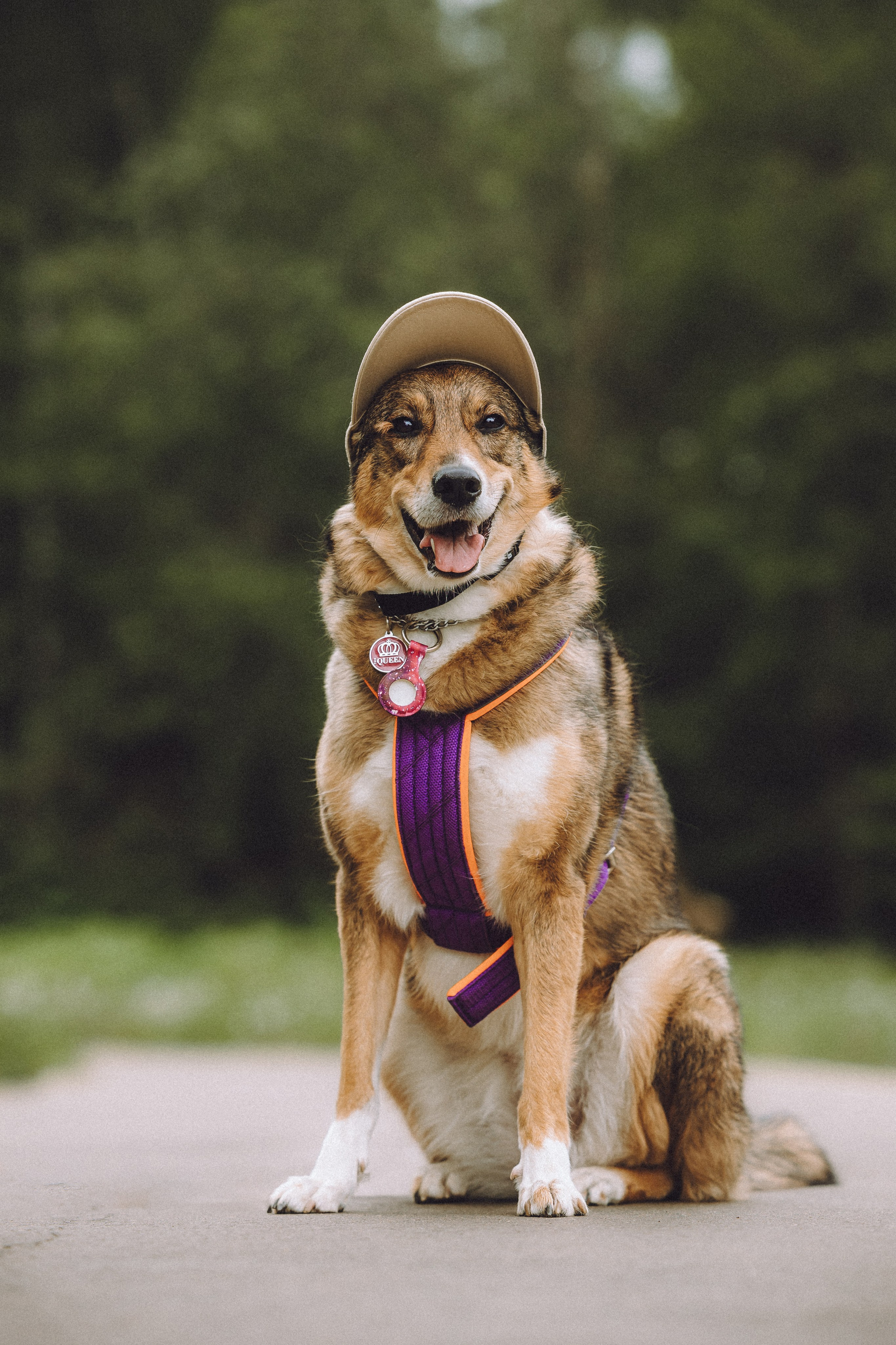 Груша, Данни, Фунтик и их семья