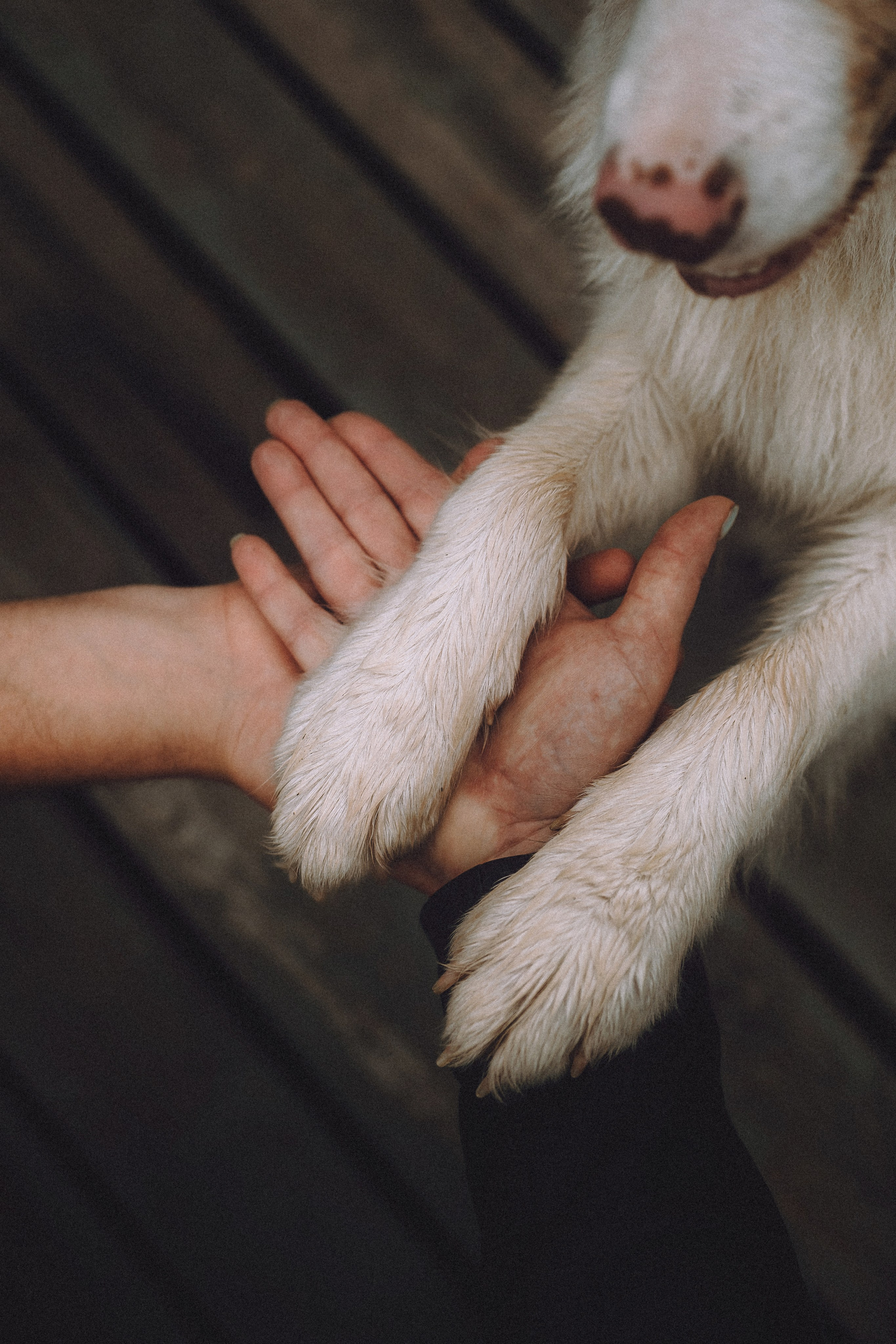 Один и его семья