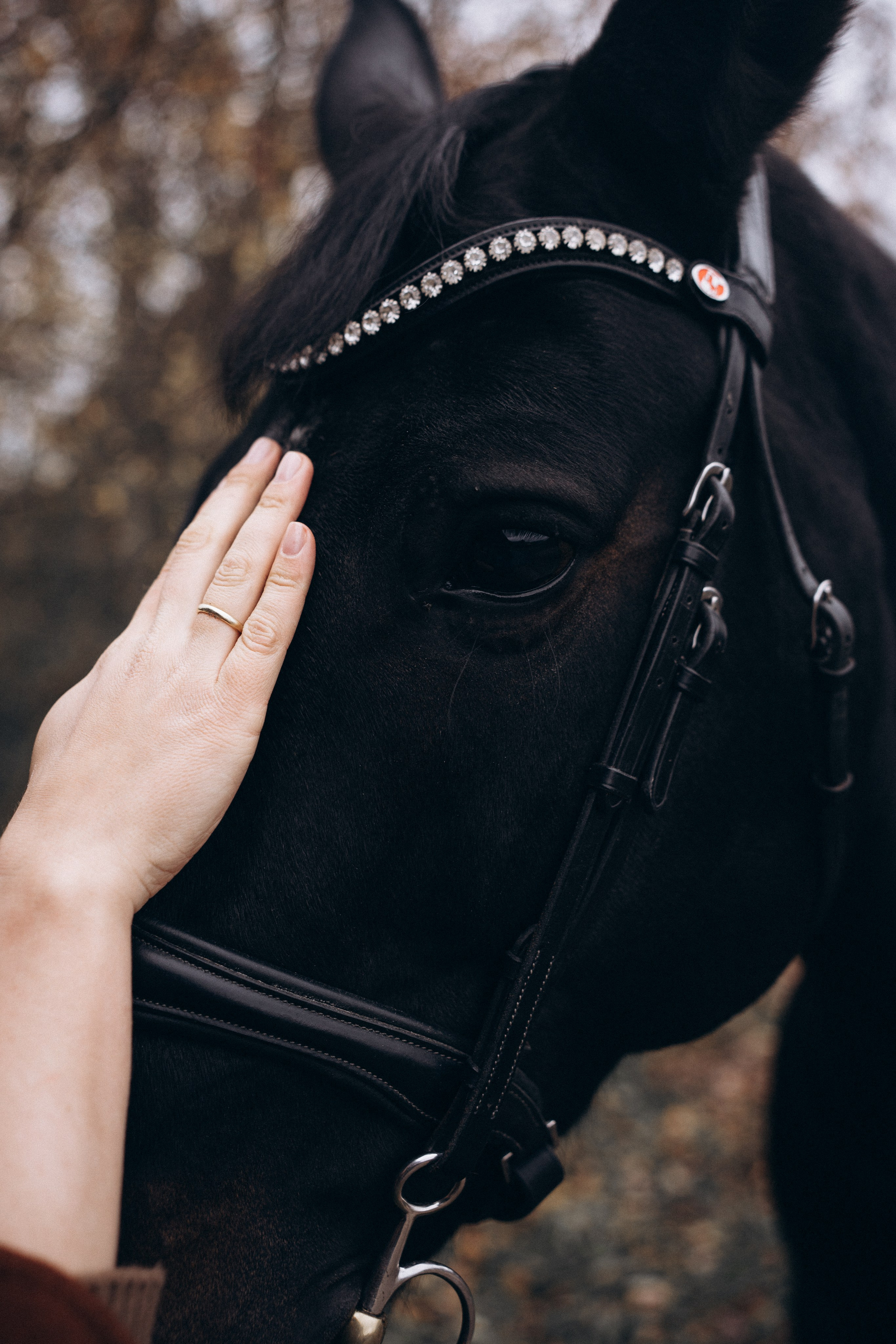 Фотосессия с лошадьми. Фотограф Новорожденных в Москве. Семейные истории в стиле LIFE