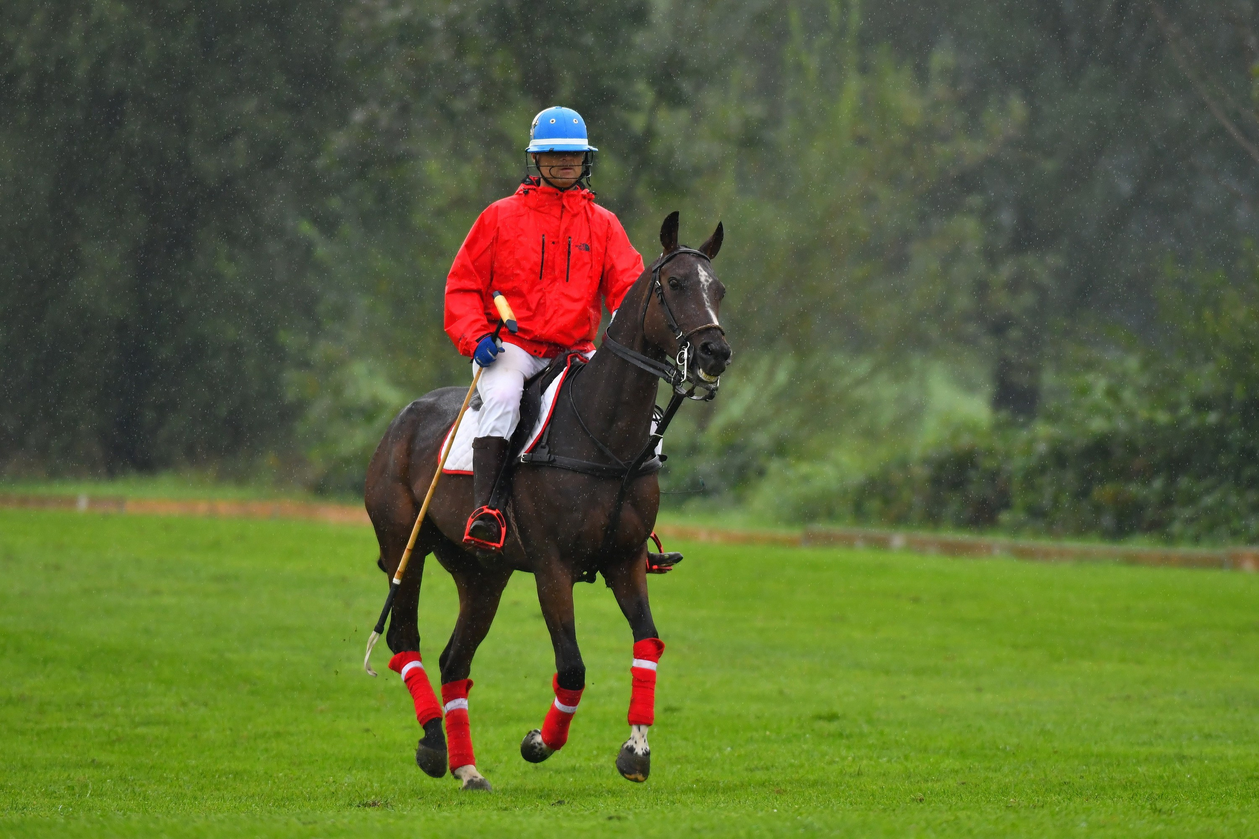 Polo art photos. Art photos of horses — ARTUR BABOEV | Photographer