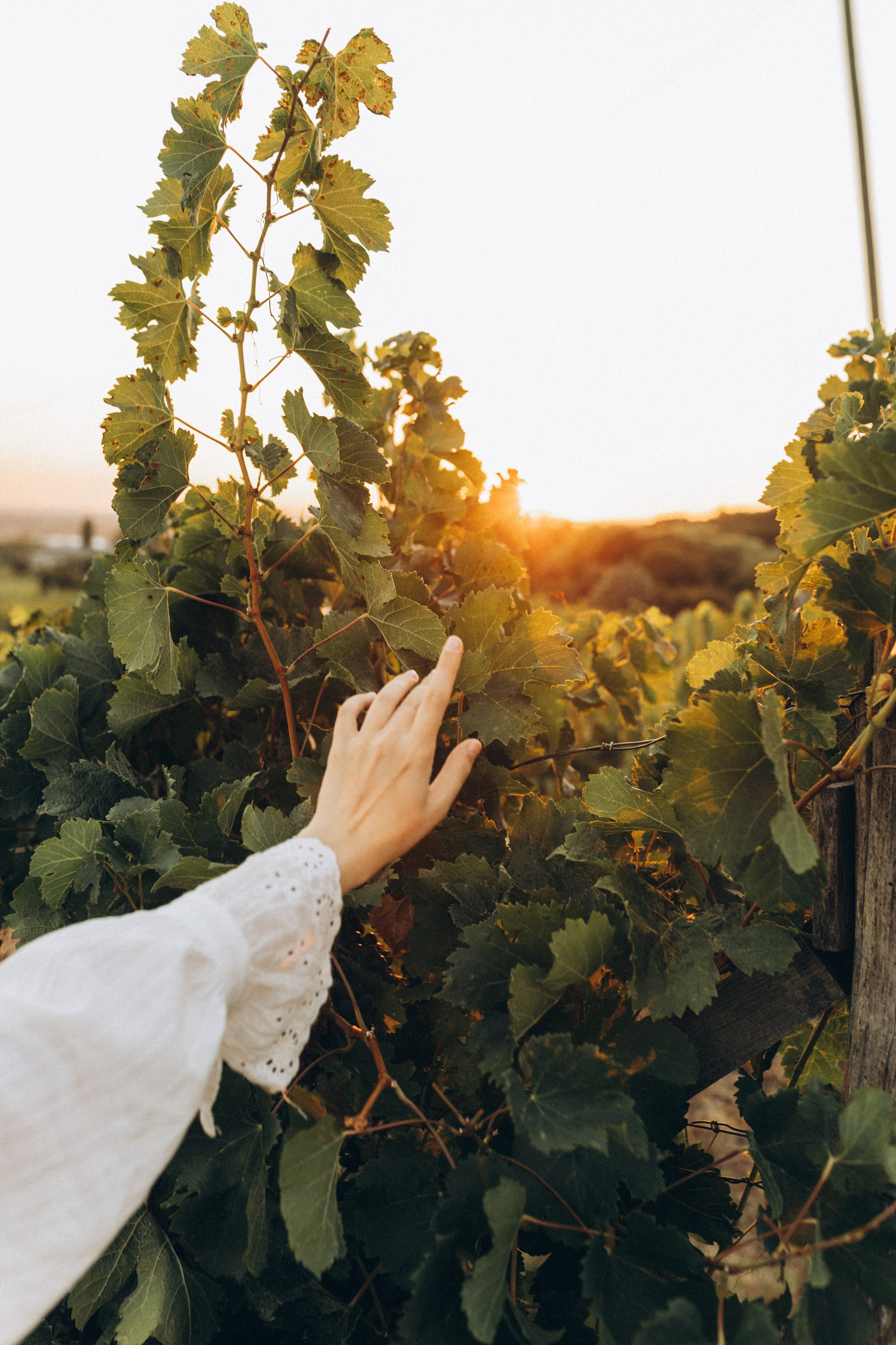 Ярослав Аня и Ева. Семейный фотограф в Новороссийске и Анапе Александра Яковлева