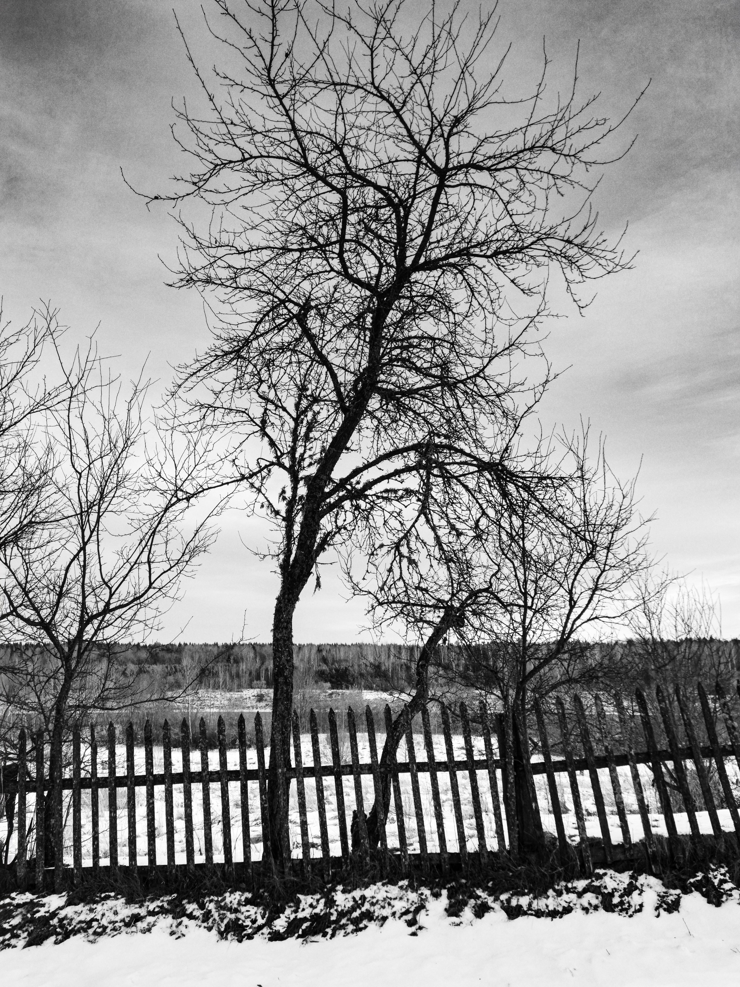 Жизнь деревенская. Фотограф Антон Швец — Монохромная реальность