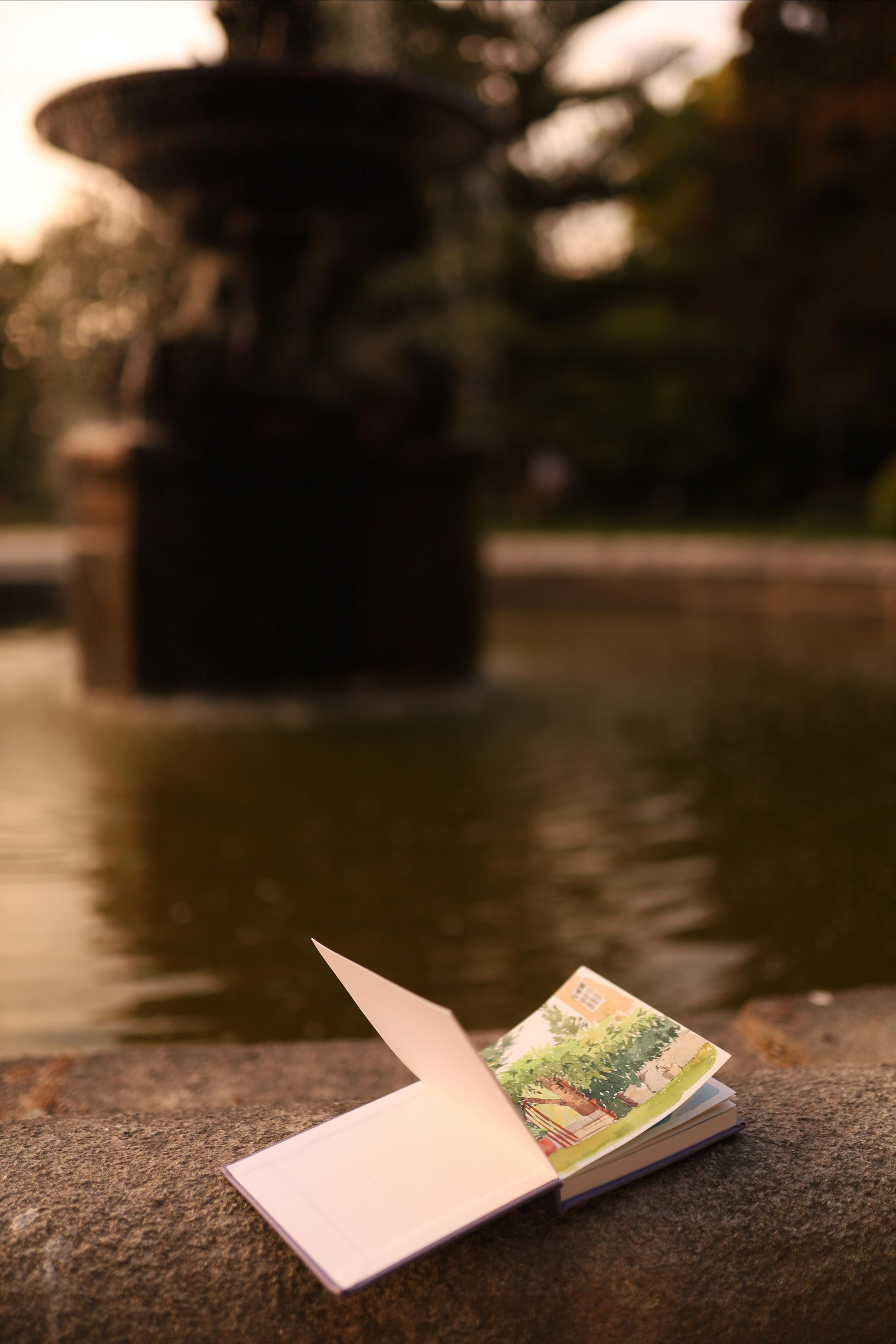 CRISTAL. Wedding and family photographer OLGA KILVEIN