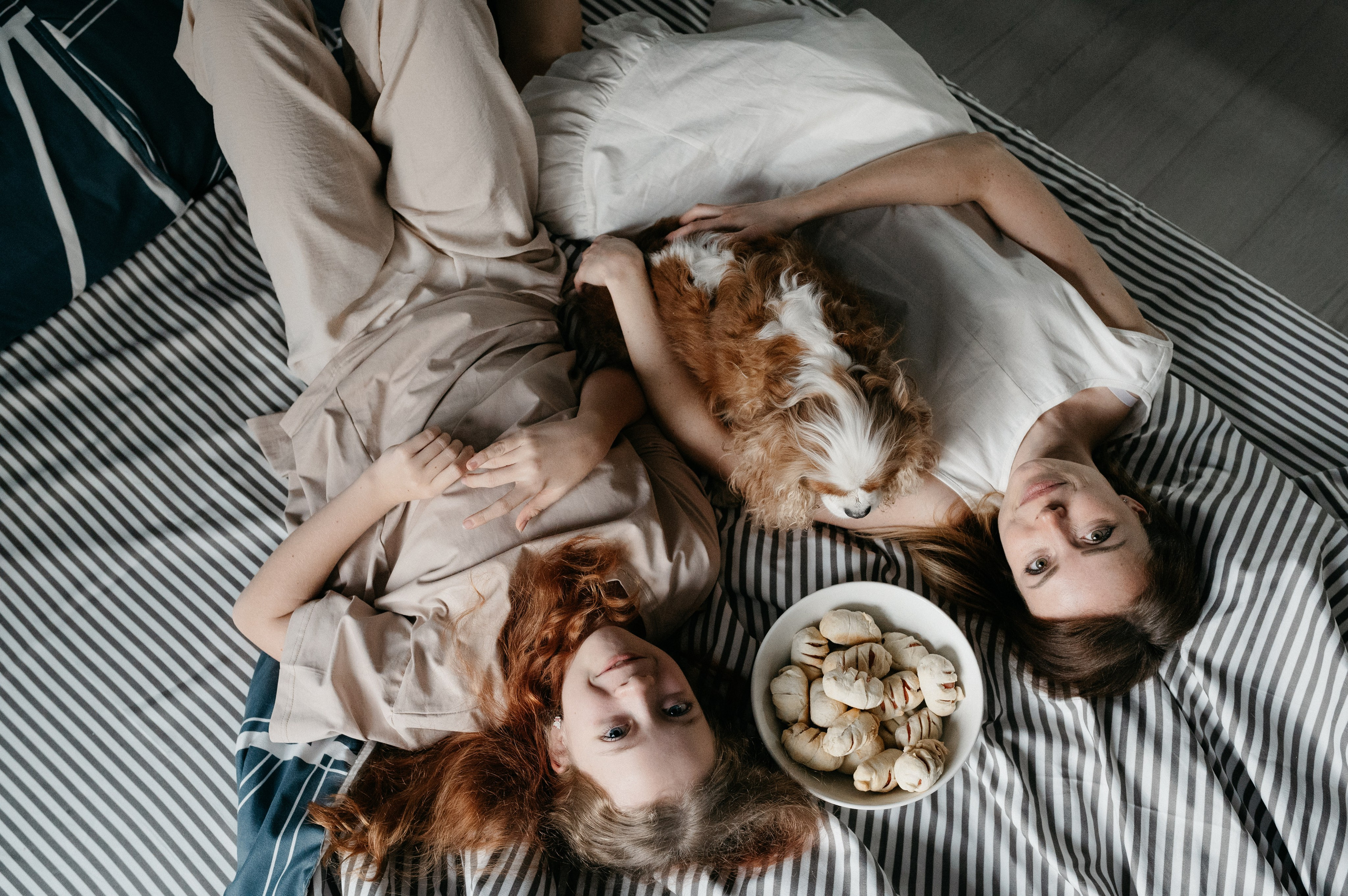 Даша, Диана, Дебби и маленькая крыска. Фотограф анималист в Москве Ольга Агушева