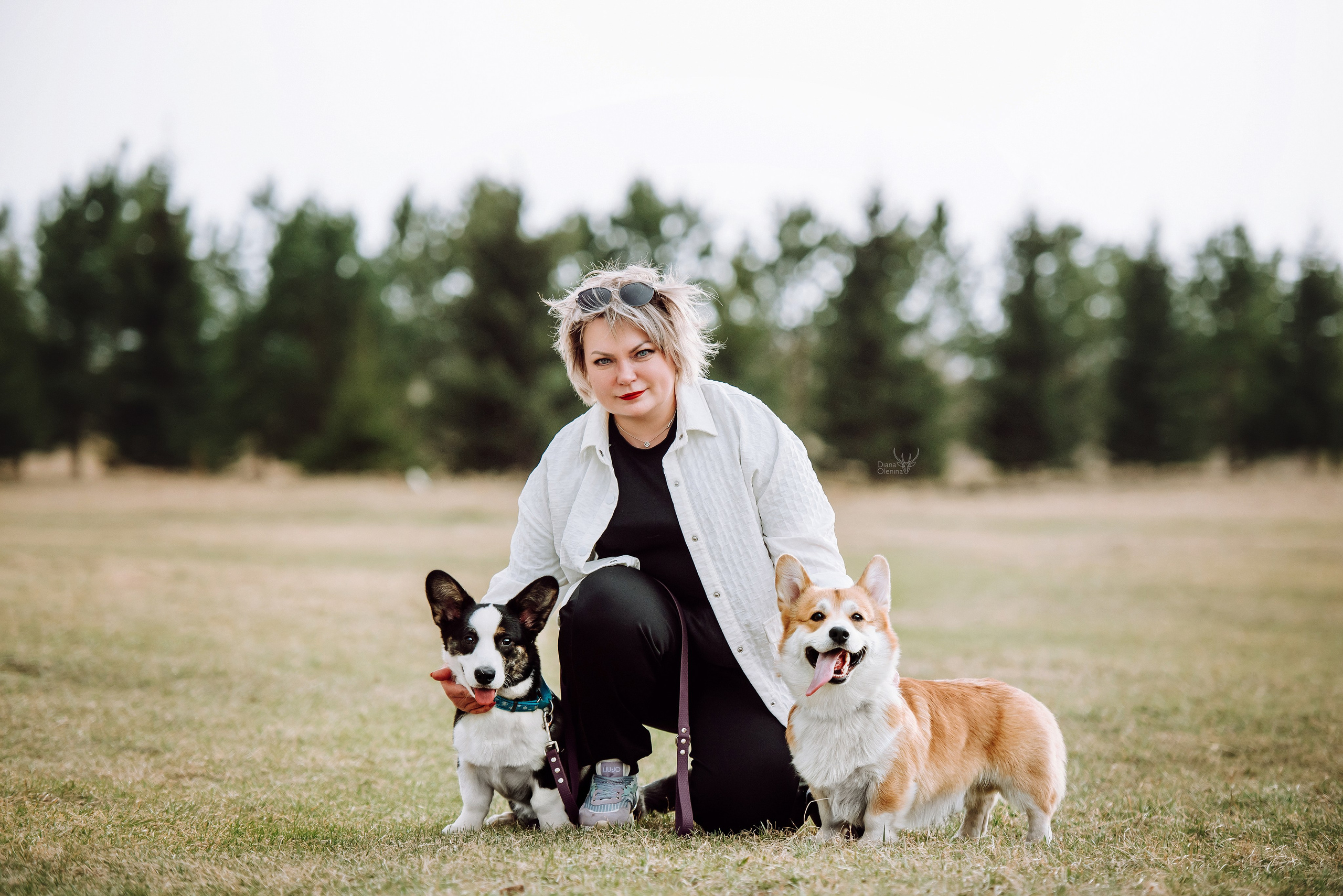 Фотопрогулка с питомцами. Фотограф Диана Оленина Красноярск / Братск