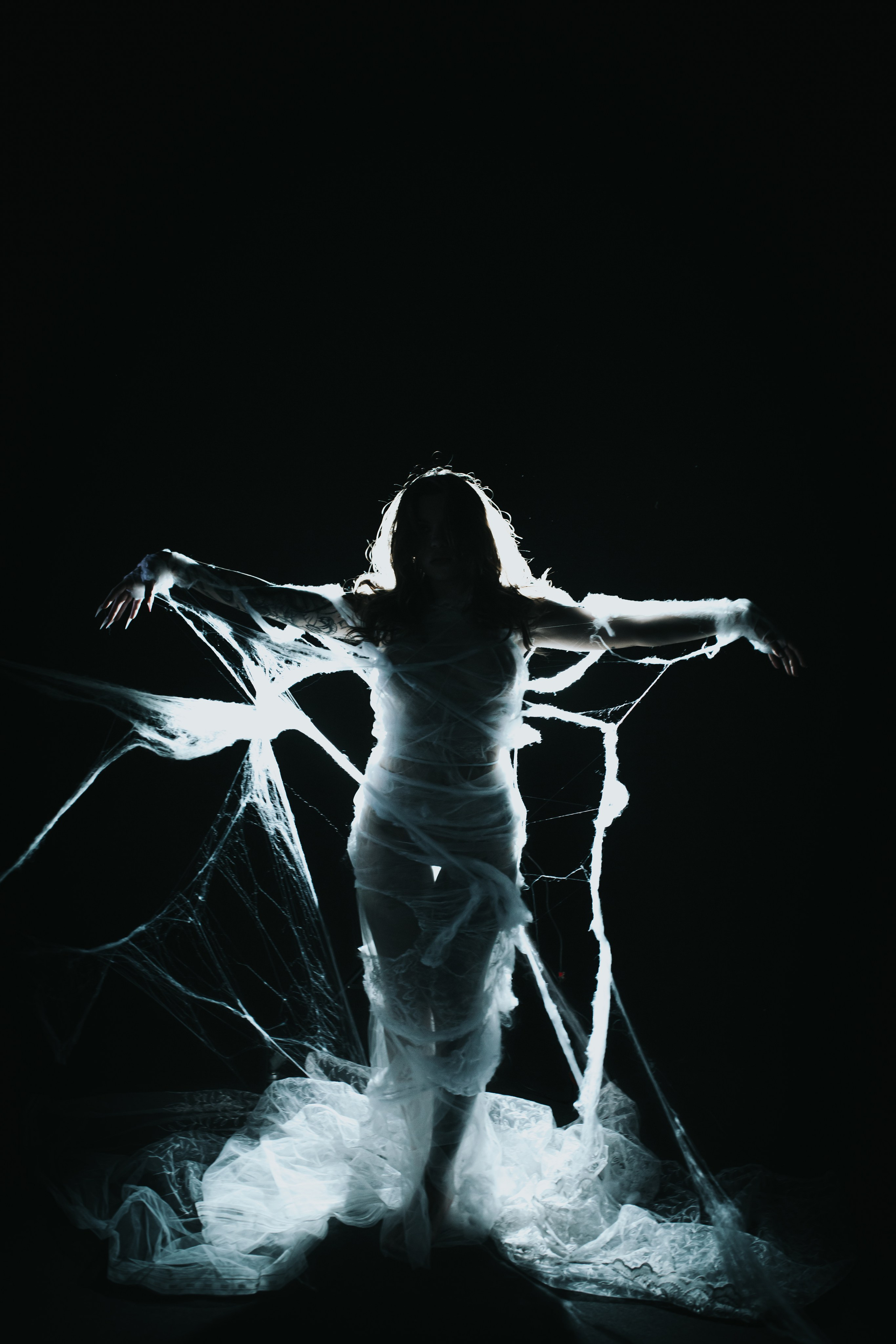 Diibae spider. Фотограф из Санкт-Петербурга Валерия Ленских