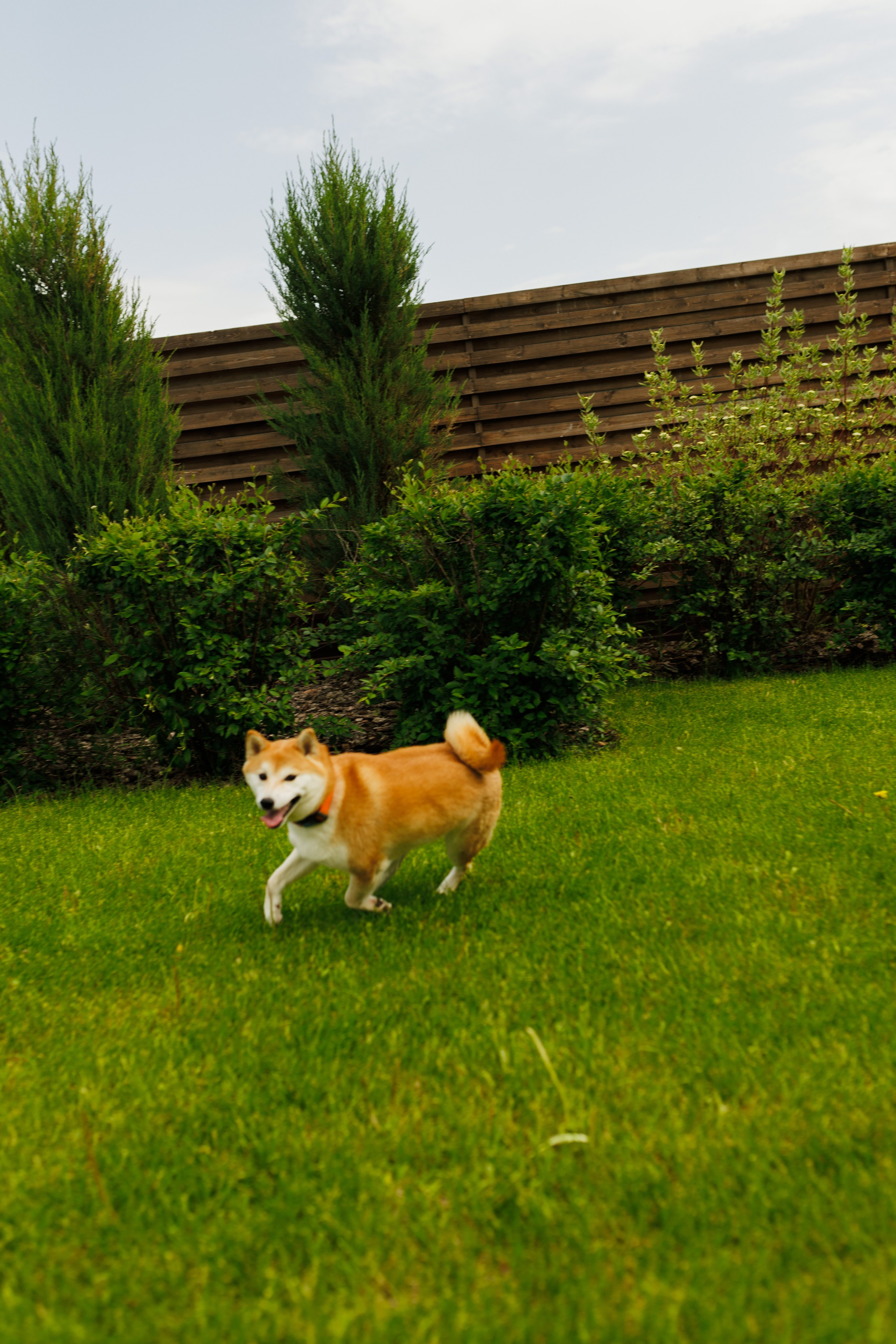 Сестры. Фотограф в Кирове Настя Шабардина