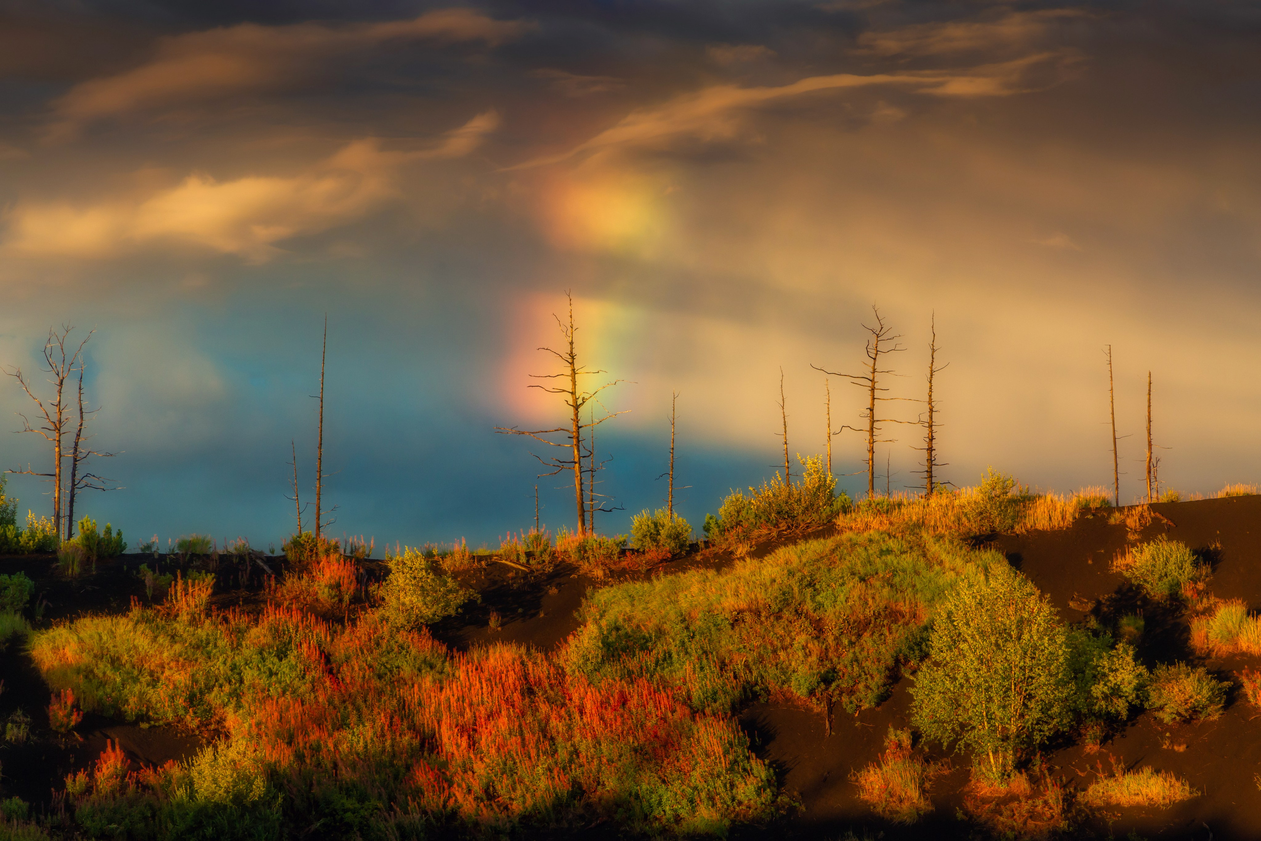 Landscape photography. Photographer Kirill Sergeev | Moscow