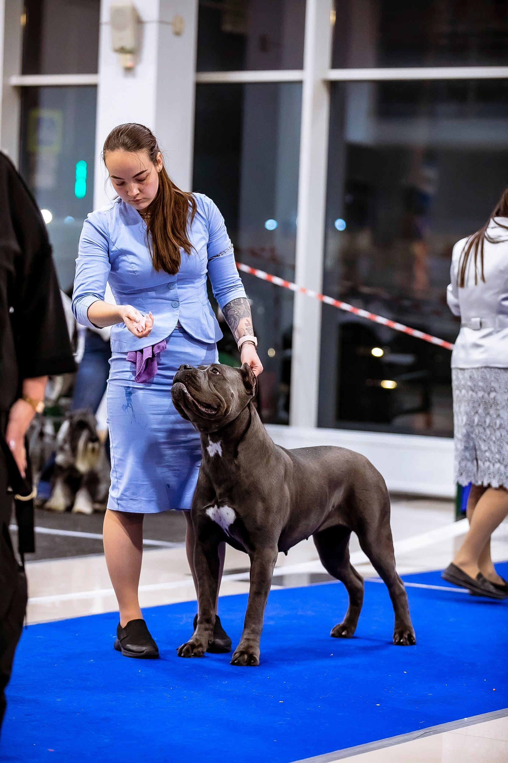 Авторские пресеты для обработки фото. Фотограф — видеограф Алиса Дружинина