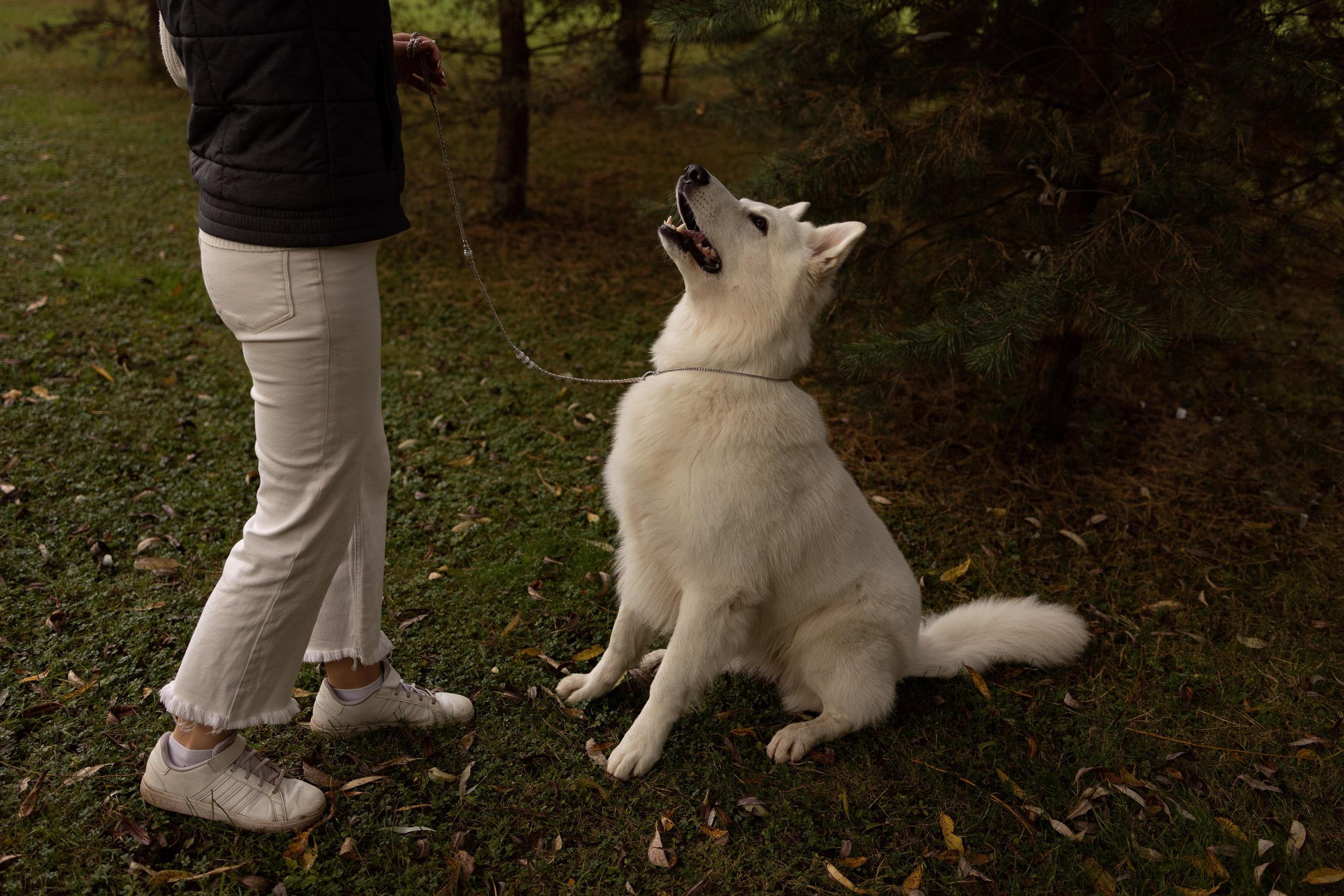 Алина и Райден. Фотограф — Анималист Наталья Тямушева