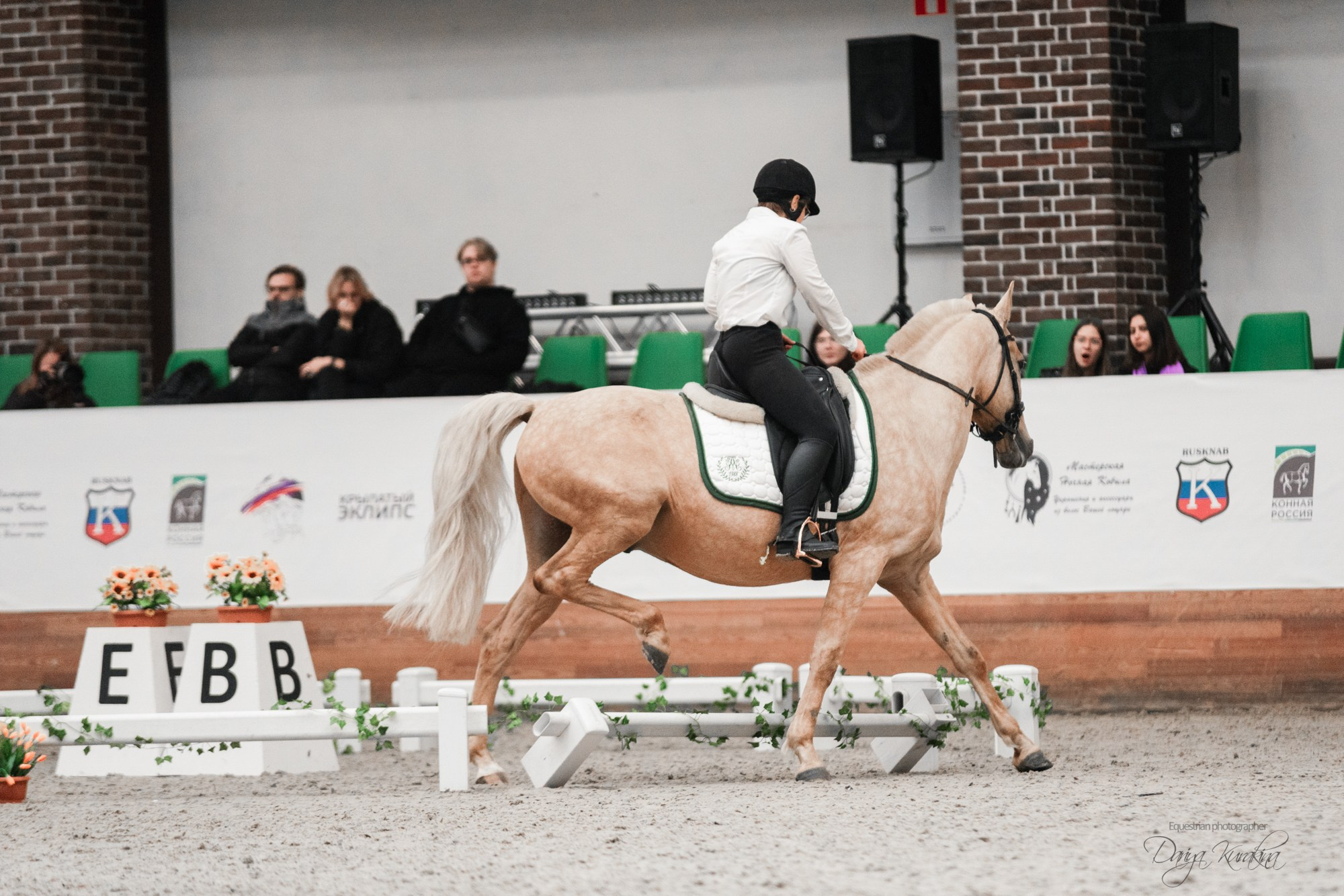 8-я международная выставка Конная Россия. Конный фотограф Куракина Дарья • Фотосессии с лошадьми