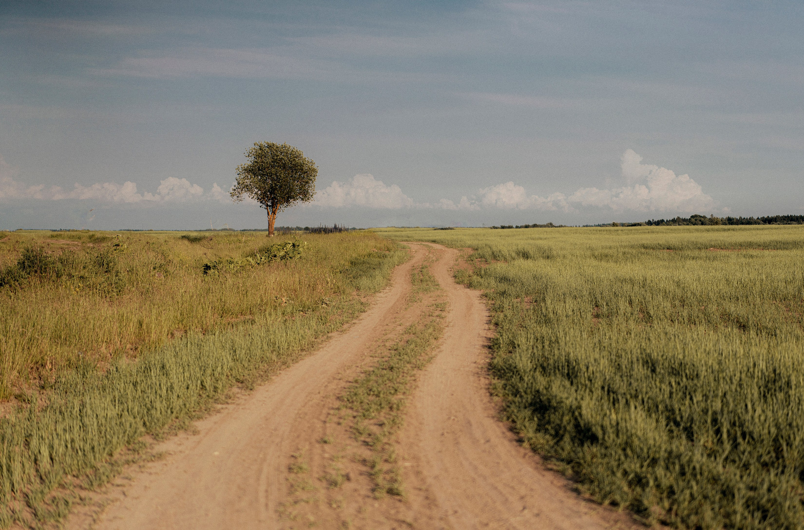 Природа и животные. Творческий фотограф Ирина Баландина.  Санкт-Петербург, Мурманск