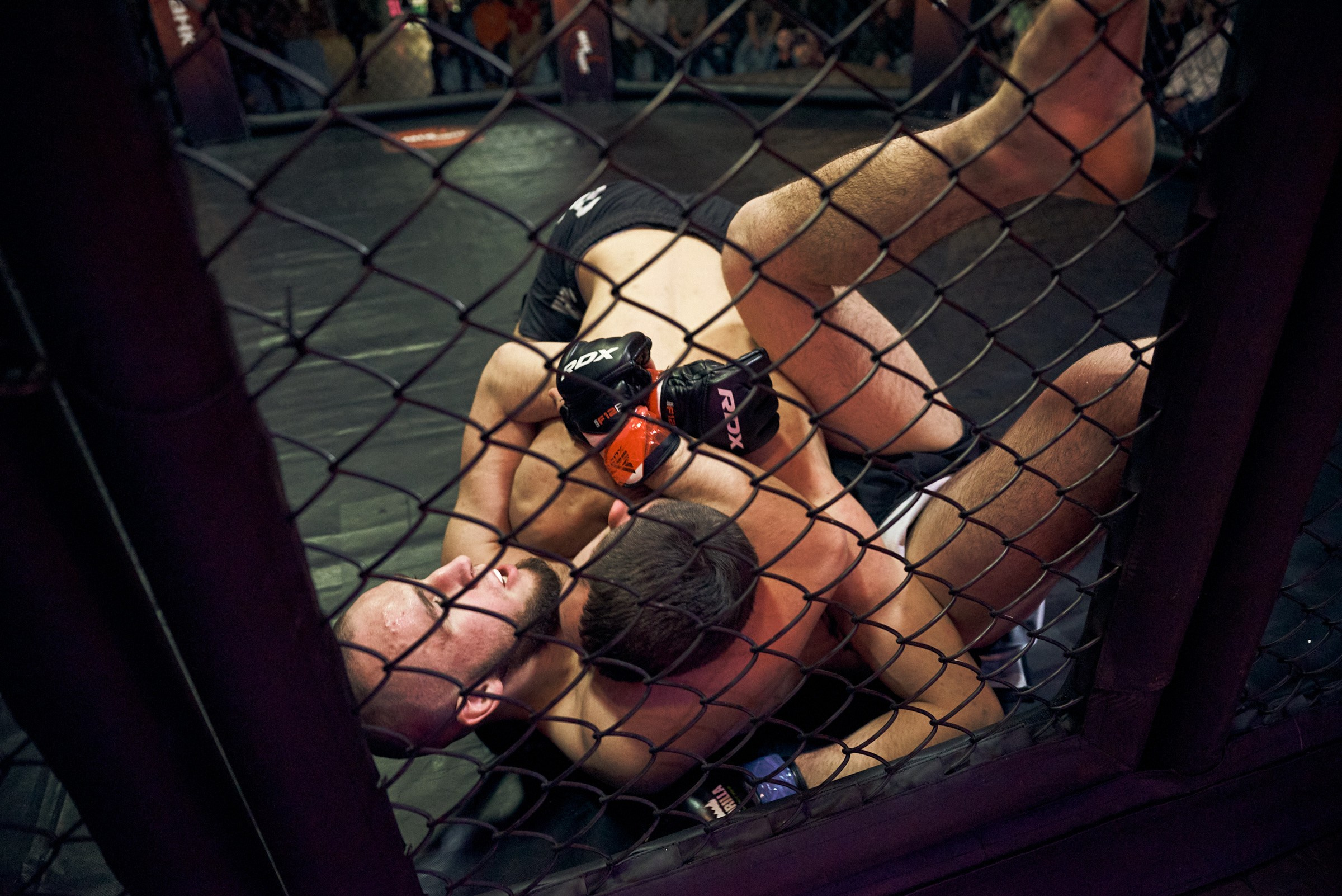 Бои. Маляревич Дмитрий свадебный фотограф