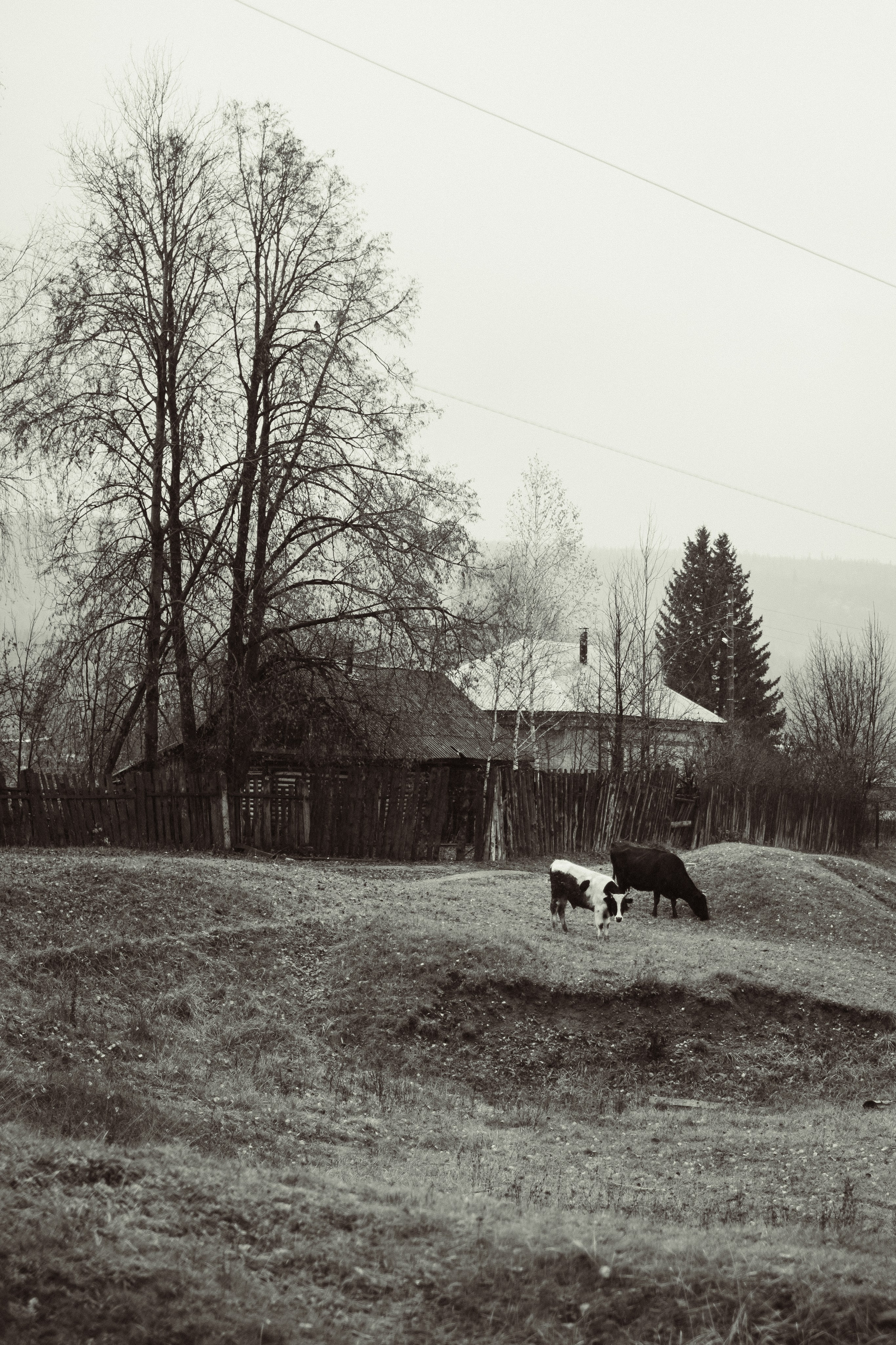 Обо мне. Anastasia N | Фотограф Челябинск