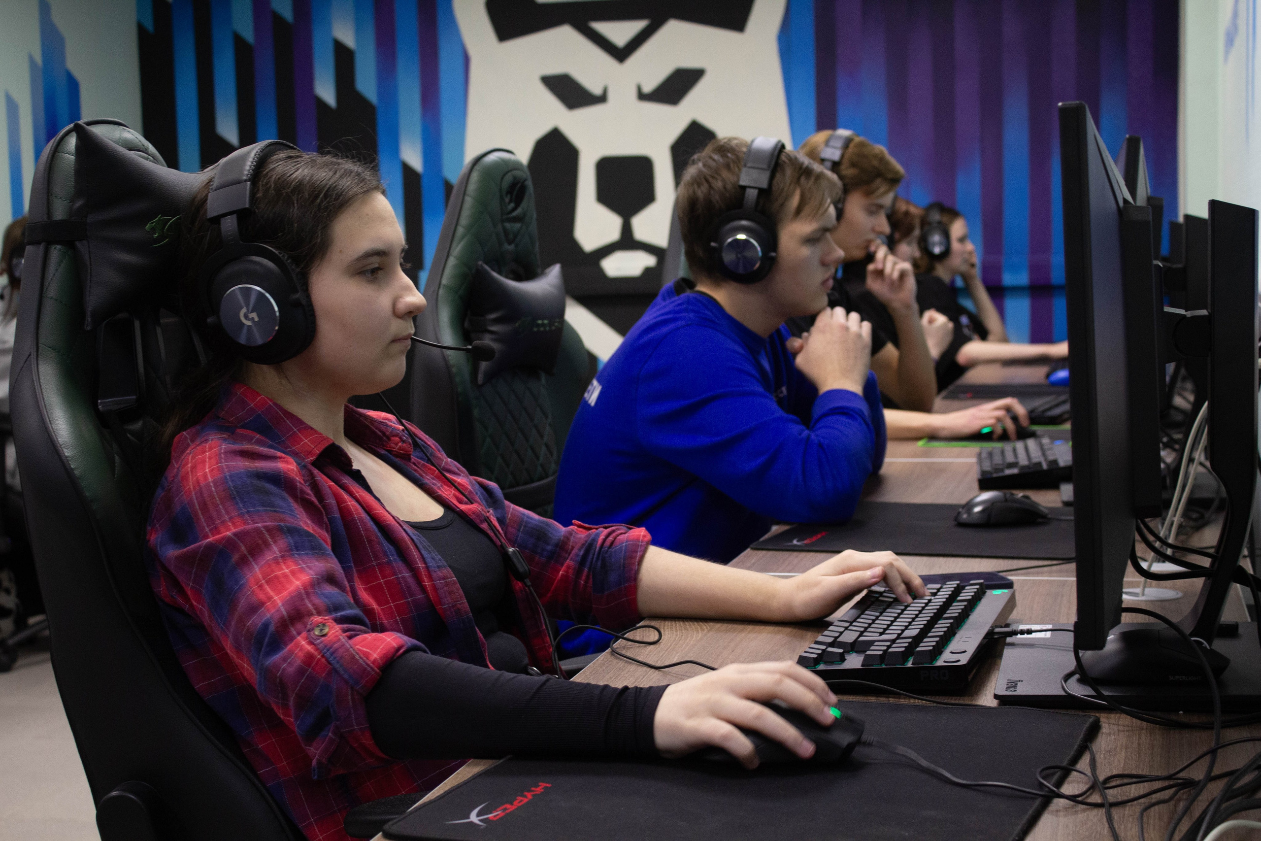 Polycup. Карпогоры, Санкт-Петербург