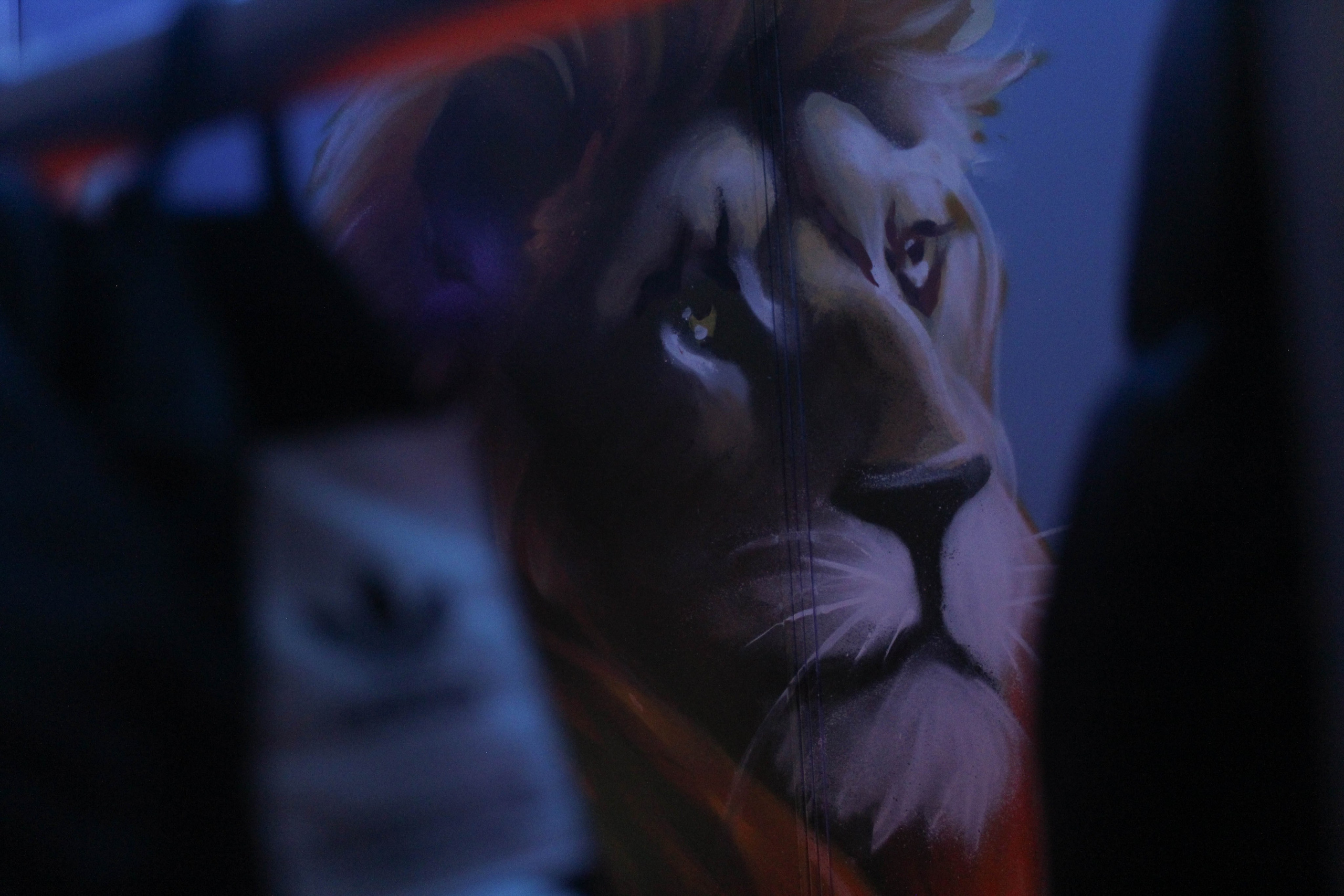 Cyber pride cs2 21.01.24. Карпогоры, Санкт-Петербург