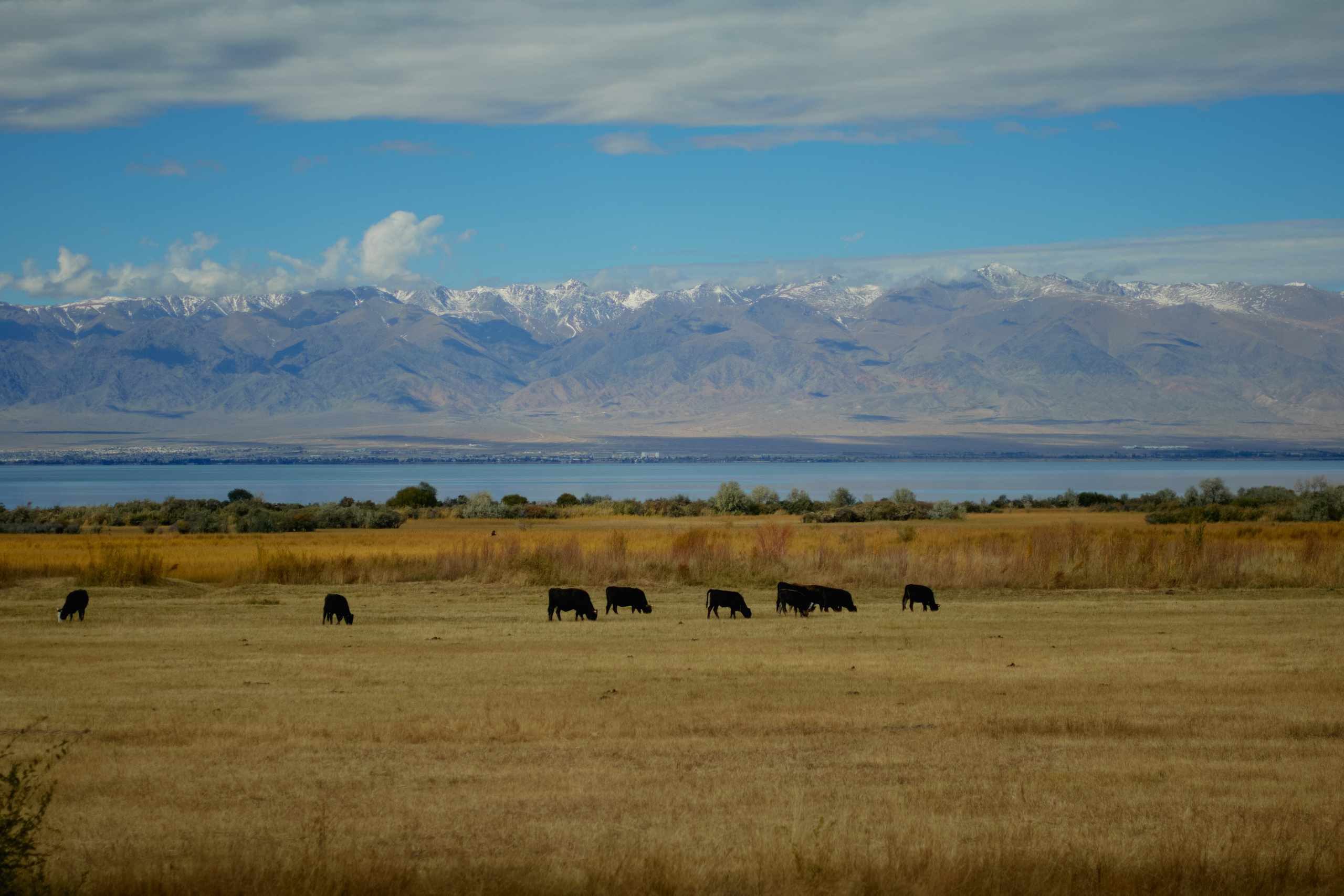 Кыргызтан. Профессиональный Фотограф во Владимире, в Москве и в Суздале — Полина Романычева