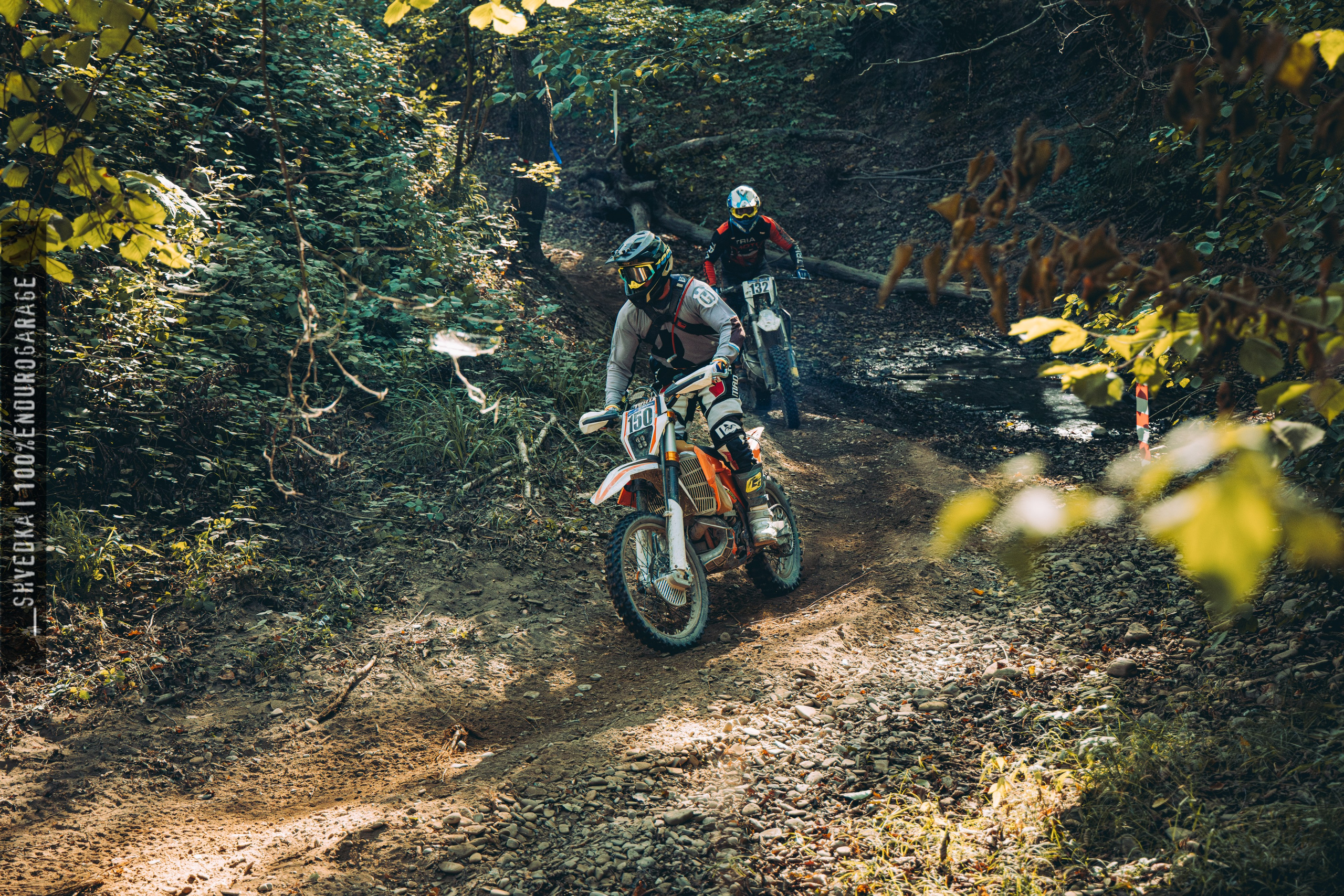 2 лесной день. Ваш экстрим фотограф Кудрева Яна