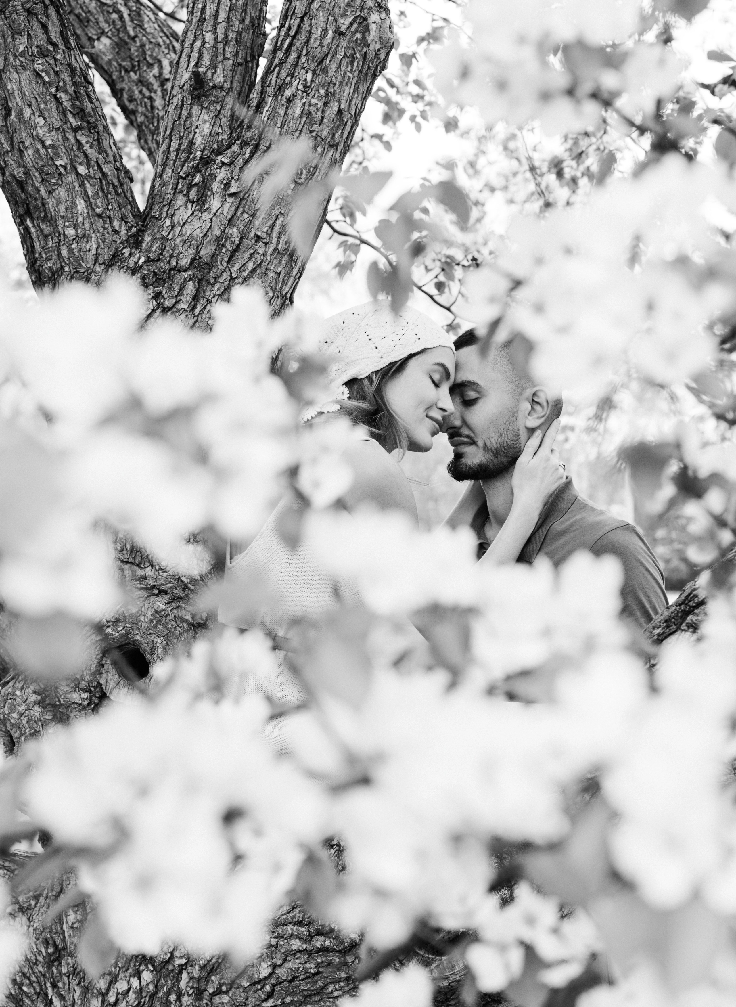 Сад. Фотограф