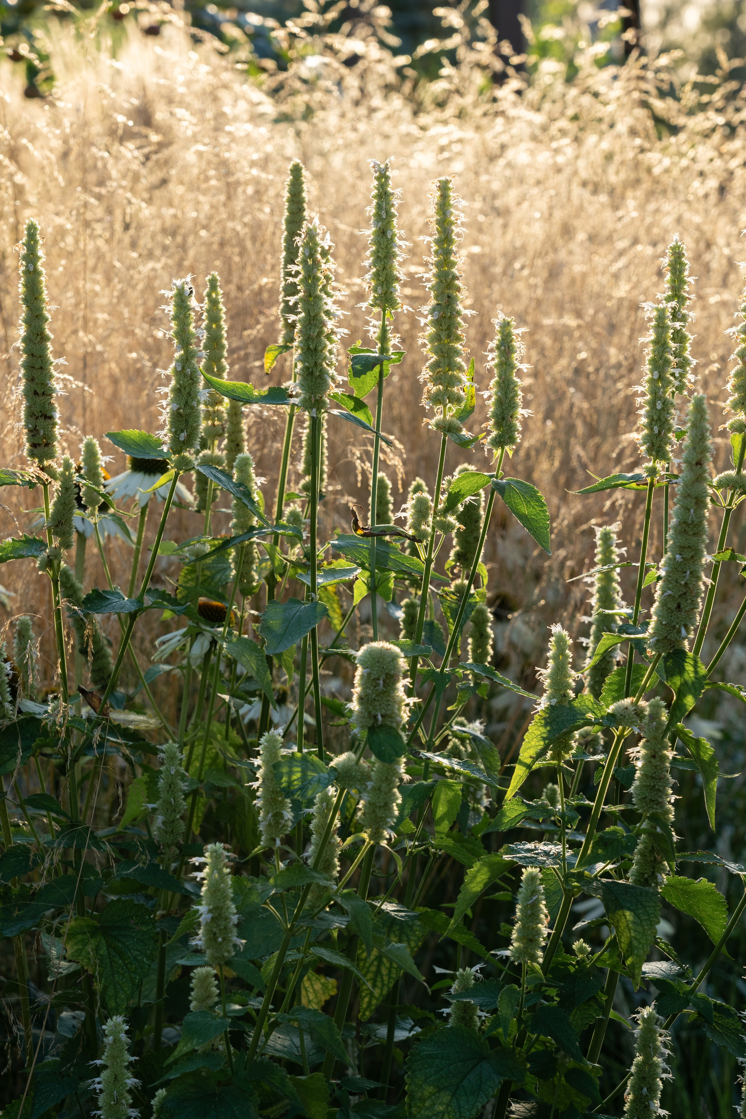 Framed landscape. Артамонов Александр | Архитектурный и ландшафтный фотограф