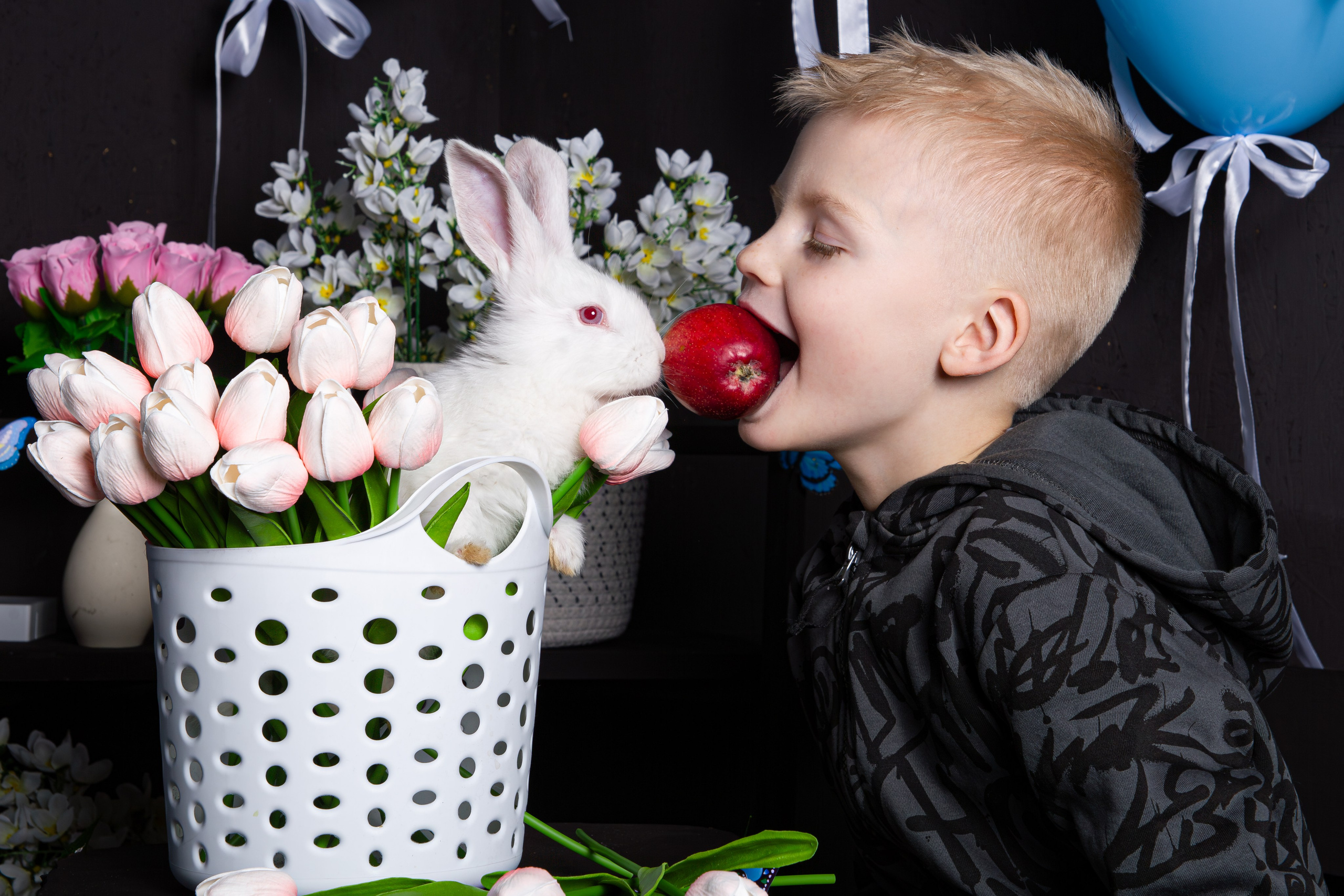 Крольчата март 2025. Фотограф на Камчатке Анна Моргачёва. Семейные и детские съёмки