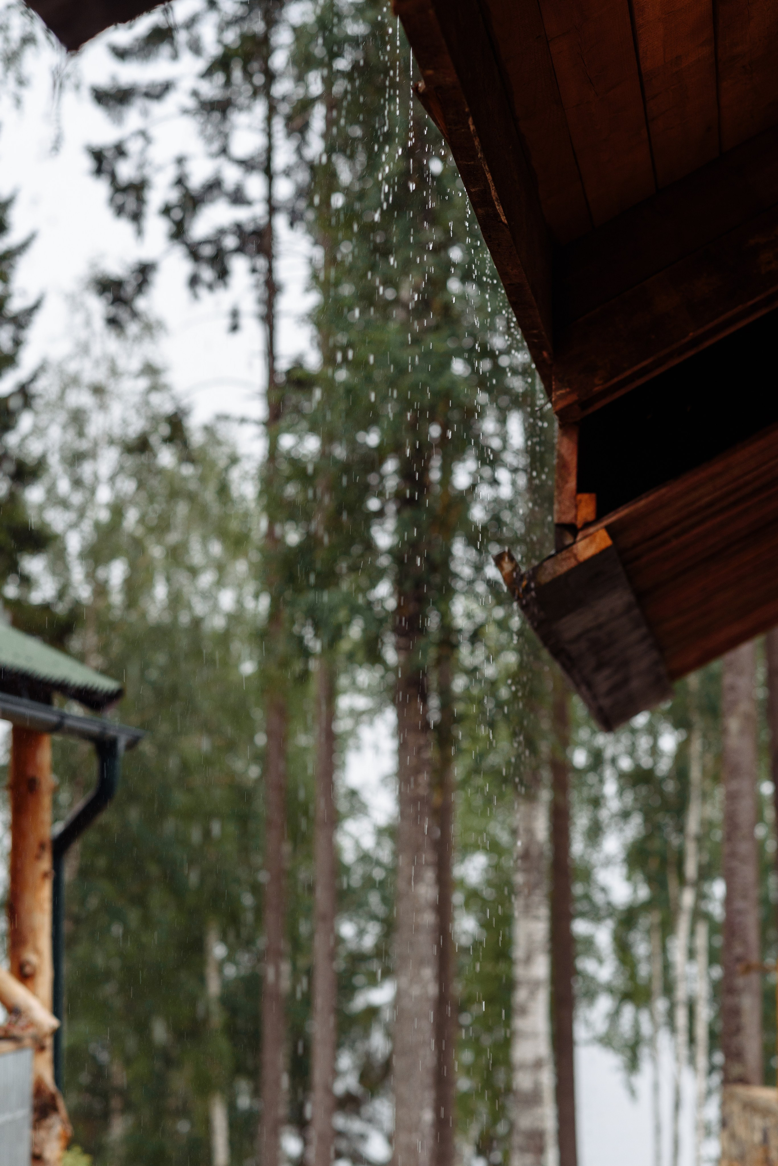 Свадьба Саша и Саша 2023-07-14. Свадебный фотограф в Перми Алексей Поляков