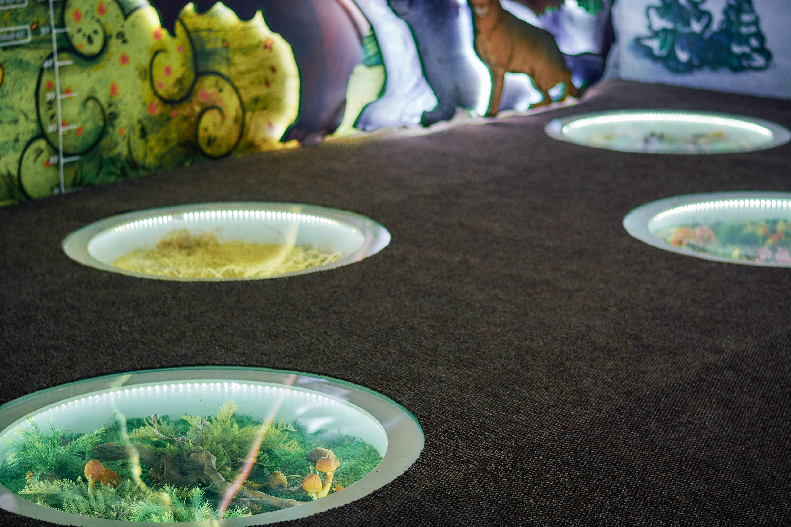 Интерьерная съемка Визит-центр Национальный парк «Кисловодский». Константин Кордонский | Интерьерный и food-фотограф в Кисловодске и КМВ