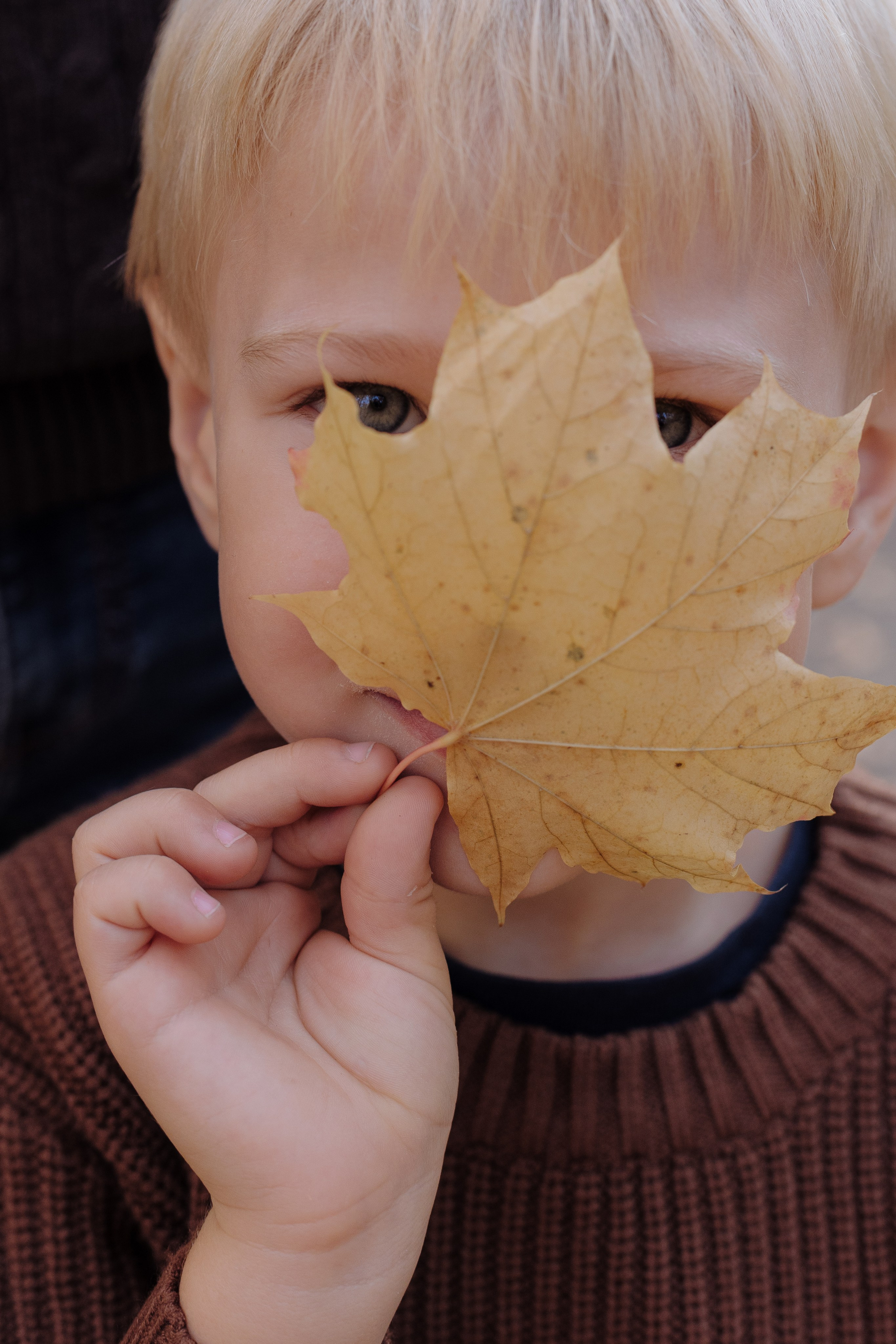 Осенняя семейная съемка. Свадебный и семейный фотограф в Самаре Катя Боб