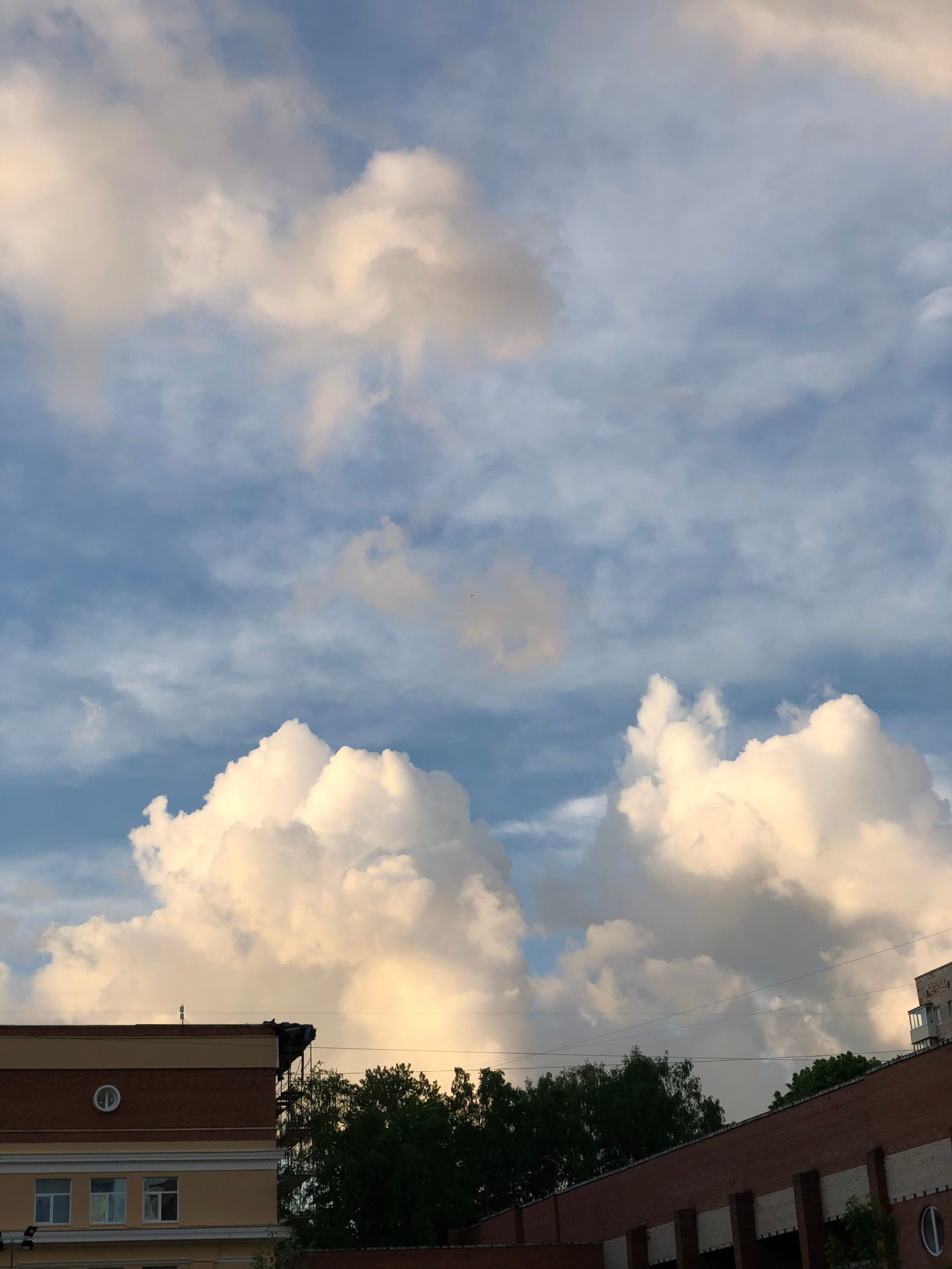 Май. Семейный, Свадебный фотограф СПБ Питер— Романова Екатерина