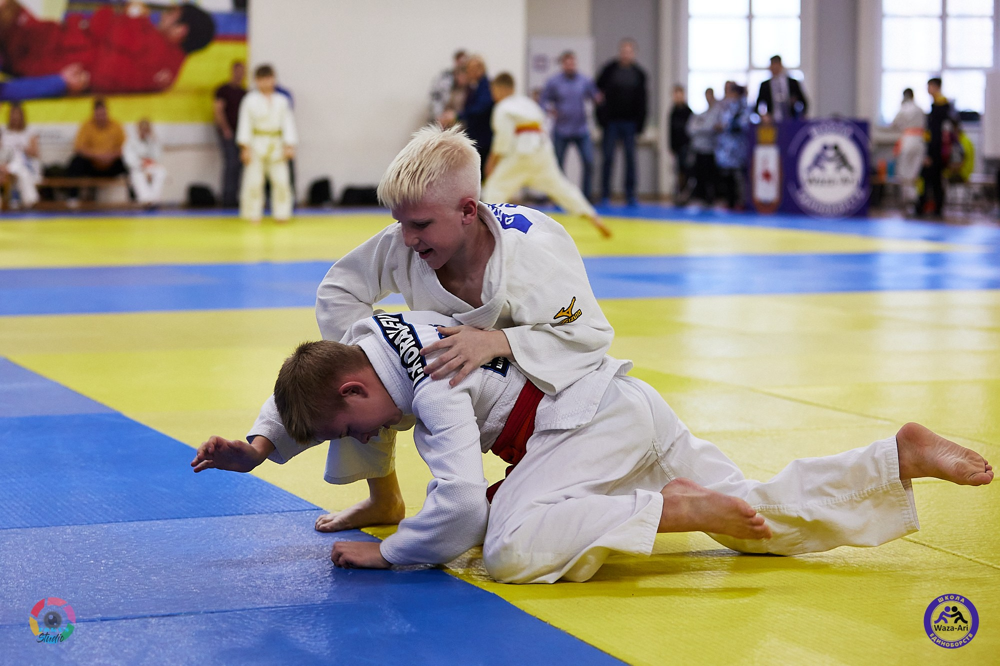 Репортаж Турнир по дзюдо. Спортивный фотограф Некрасов Денис