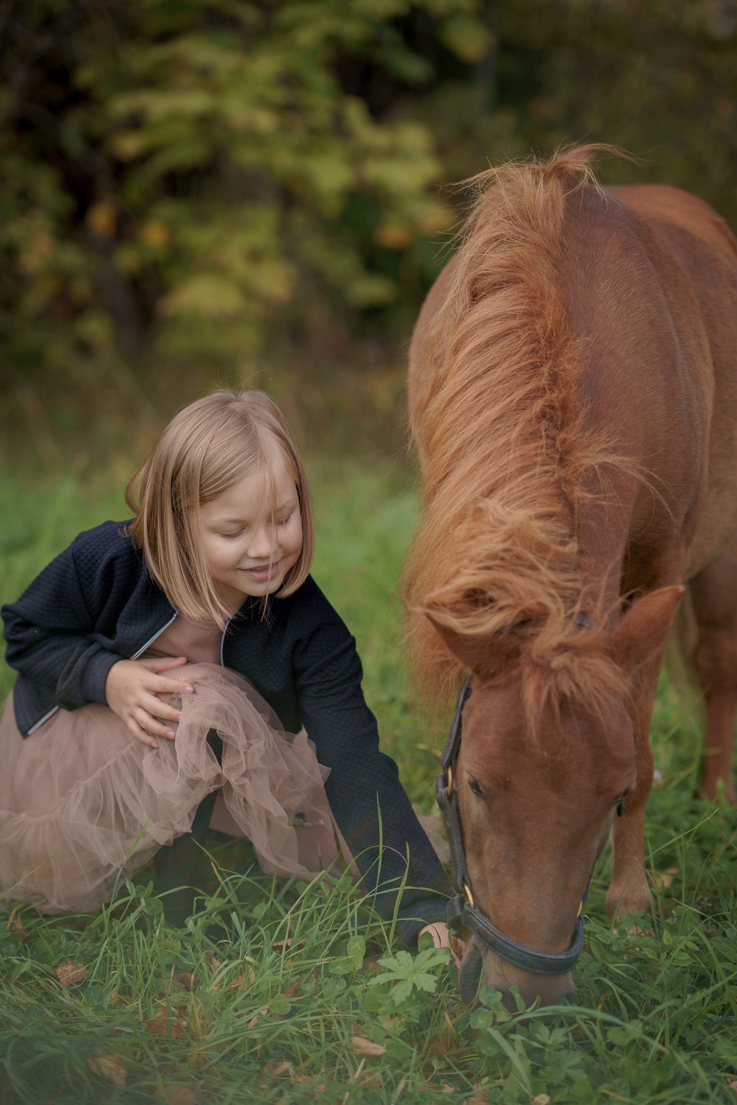 Фотосессия с американской миниатюрной лошадкой. Абрамцево. Семейный и детский фотограф в Сергиев Посаде, Хотьково Якимчук Любовь
