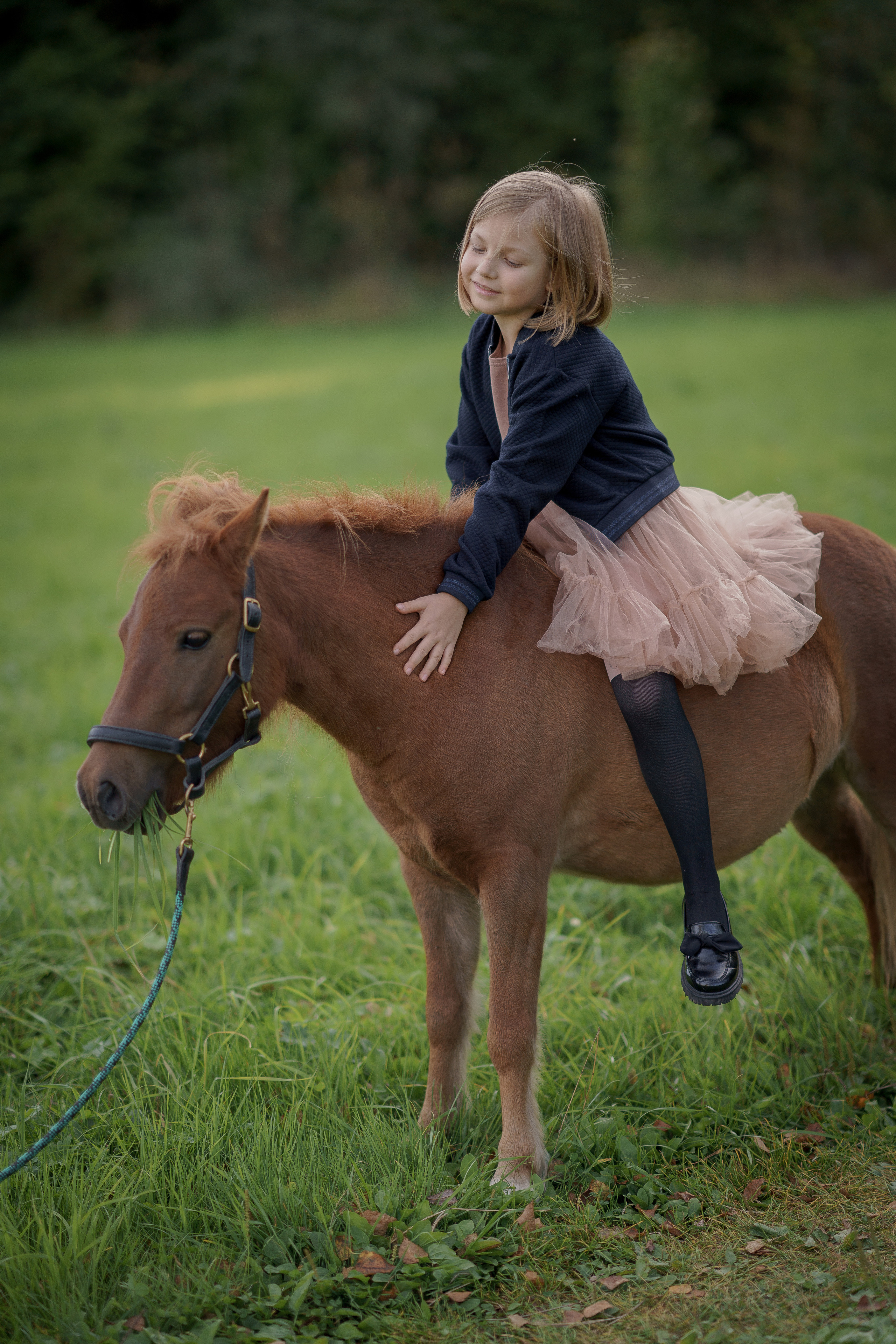 Фотосессия с американской миниатюрной лошадкой. Абрамцево. Семейный и детский фотограф в Сергиев Посаде, Хотьково Якимчук Любовь