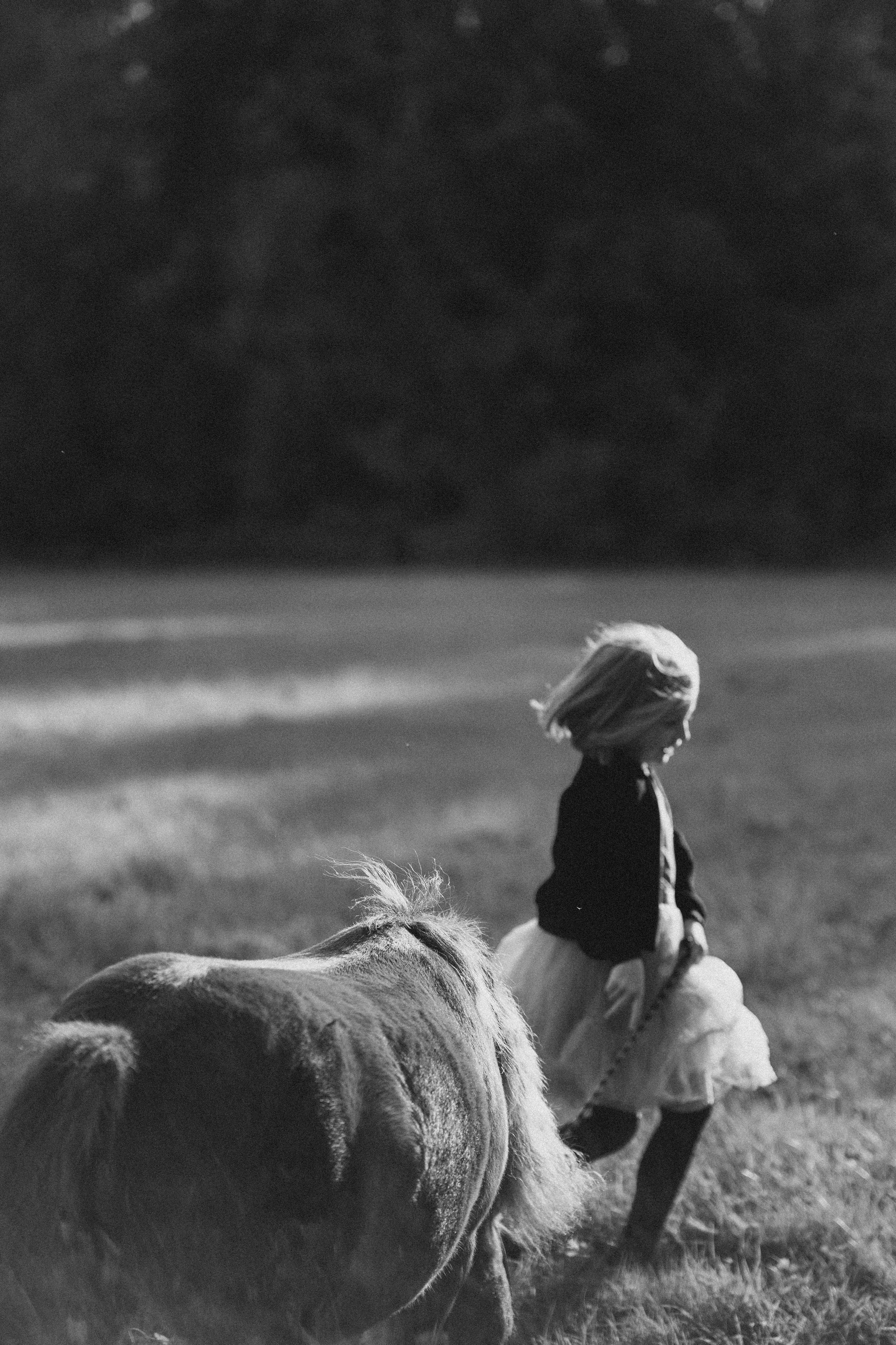 Фотосессия с американской миниатюрной лошадкой. Абрамцево. Семейный и детский фотограф в Сергиев Посаде, Хотьково Якимчук Любовь