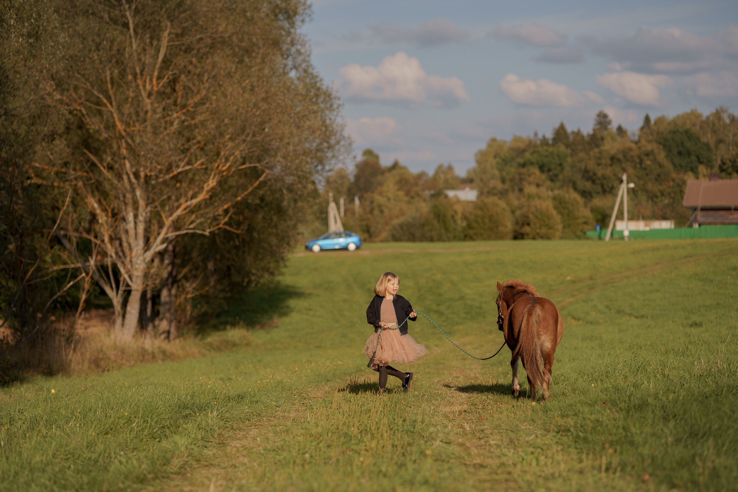 Фотосессия с американской миниатюрной лошадкой. Абрамцево. Семейный и детский фотограф в Сергиев Посаде, Хотьково Якимчук Любовь