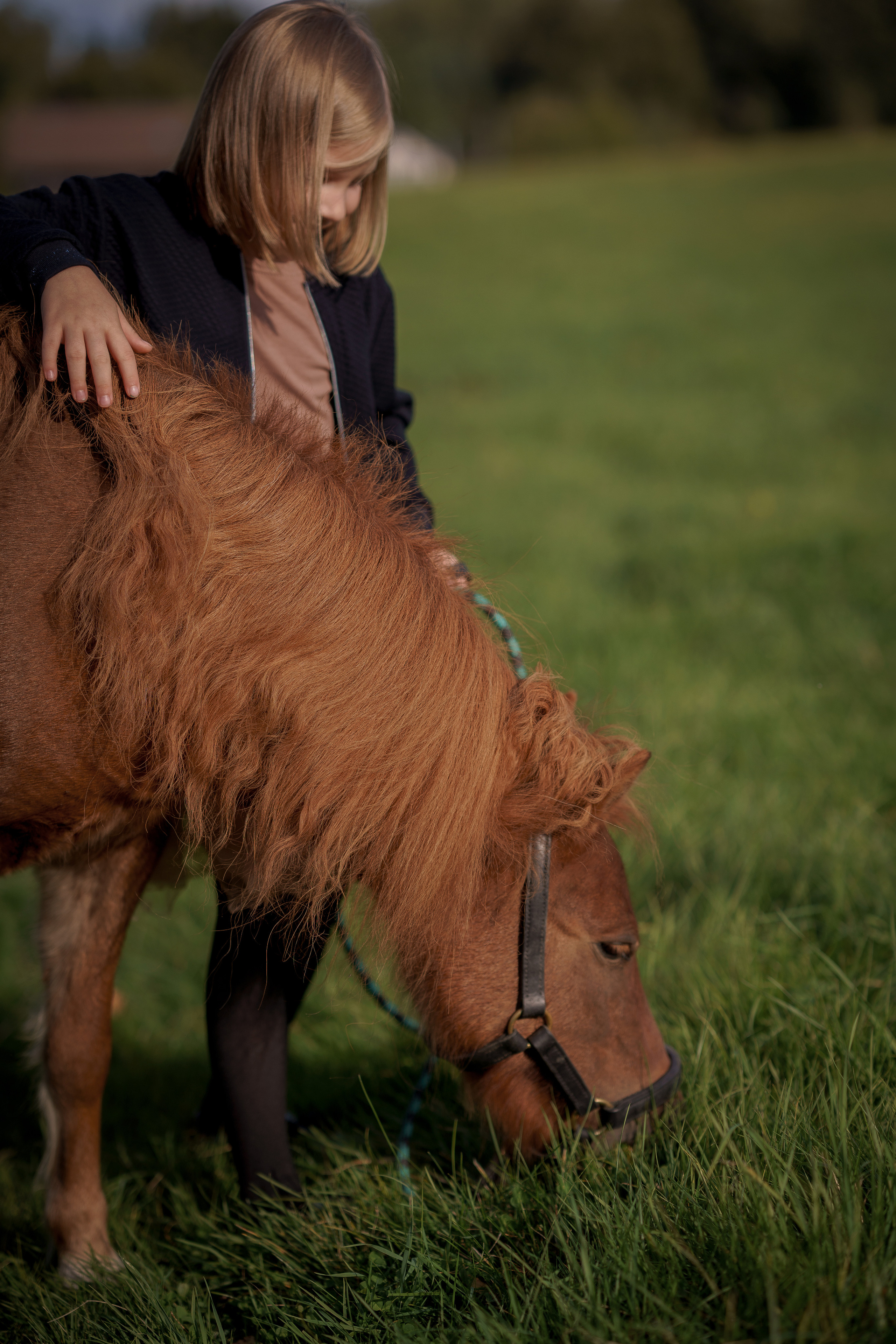 Фотосессия с американской миниатюрной лошадкой. Абрамцево. Семейный и детский фотограф в Сергиев Посаде, Хотьково Якимчук Любовь