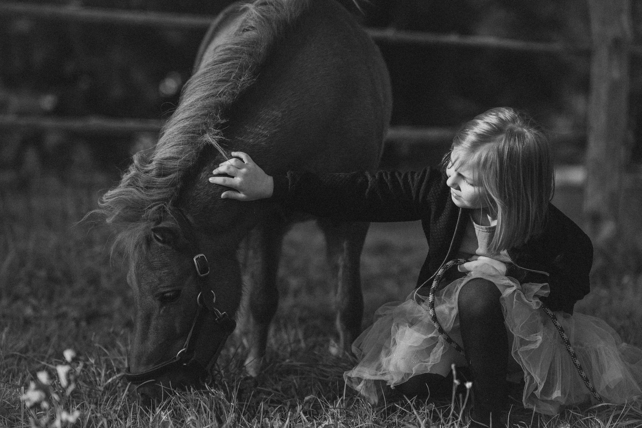 Фотосессия с американской миниатюрной лошадкой. Абрамцево. Семейный и детский фотограф в Сергиев Посаде, Хотьково Якимчук Любовь
