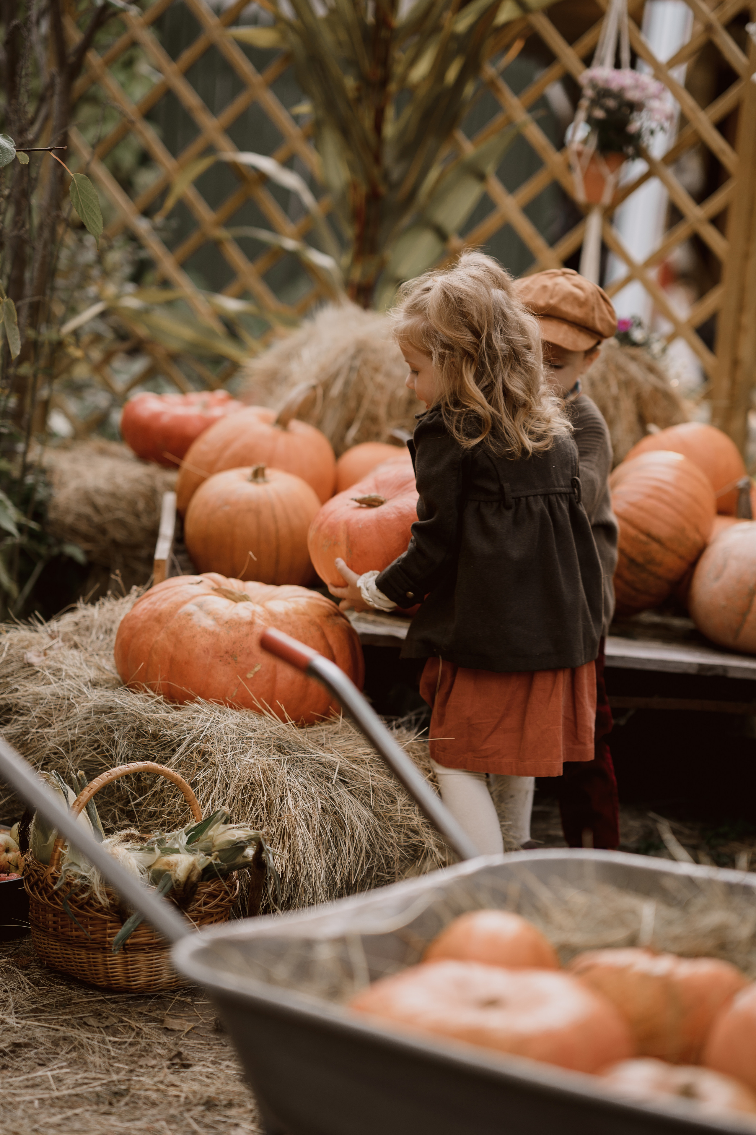 Ева и Мироша. Семейный и детский фотограф в Сергиев Посаде, Хотьково Якимчук Любовь