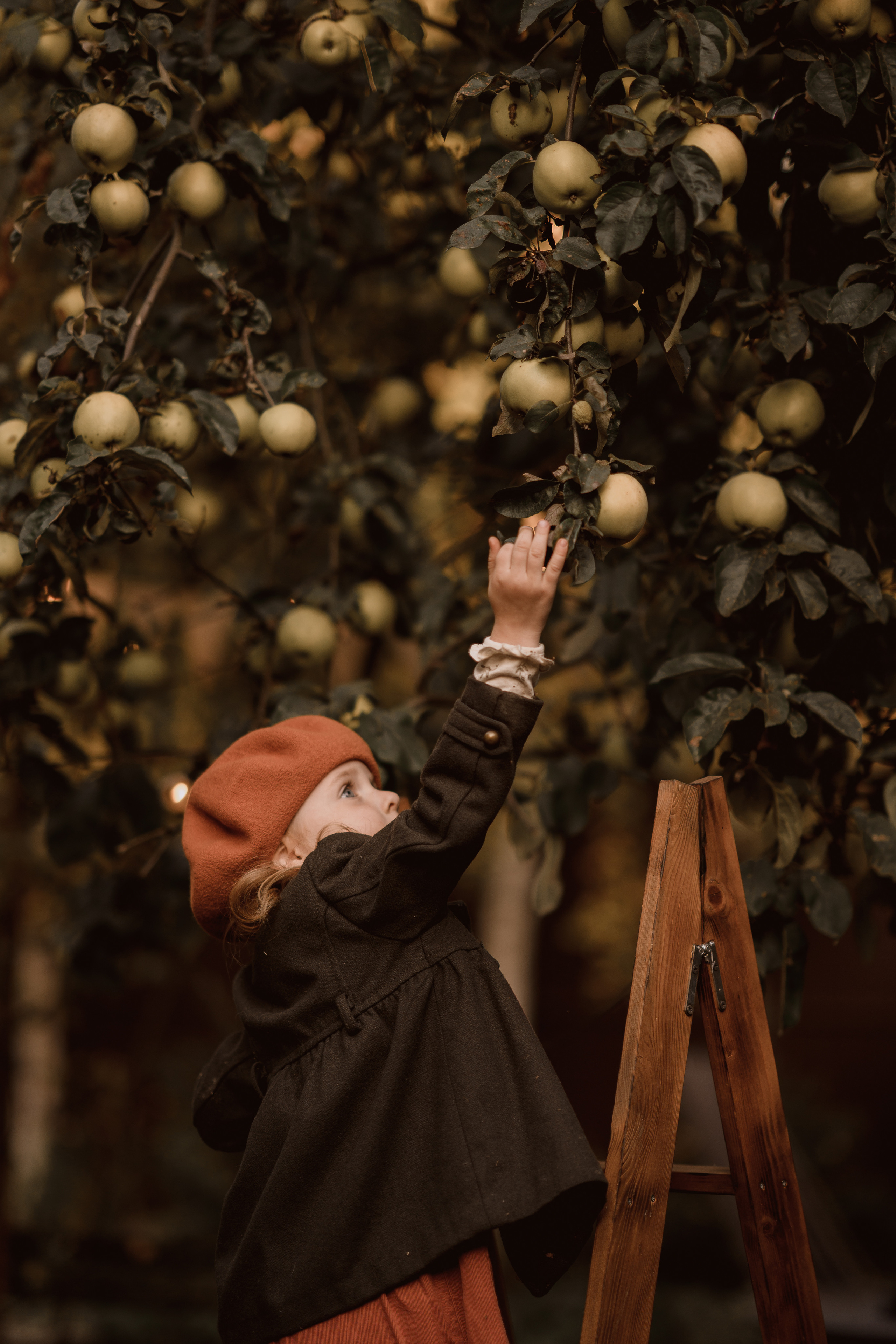 Ева и Мироша. Семейный и детский фотограф в Сергиев Посаде, Хотьково Якимчук Любовь
