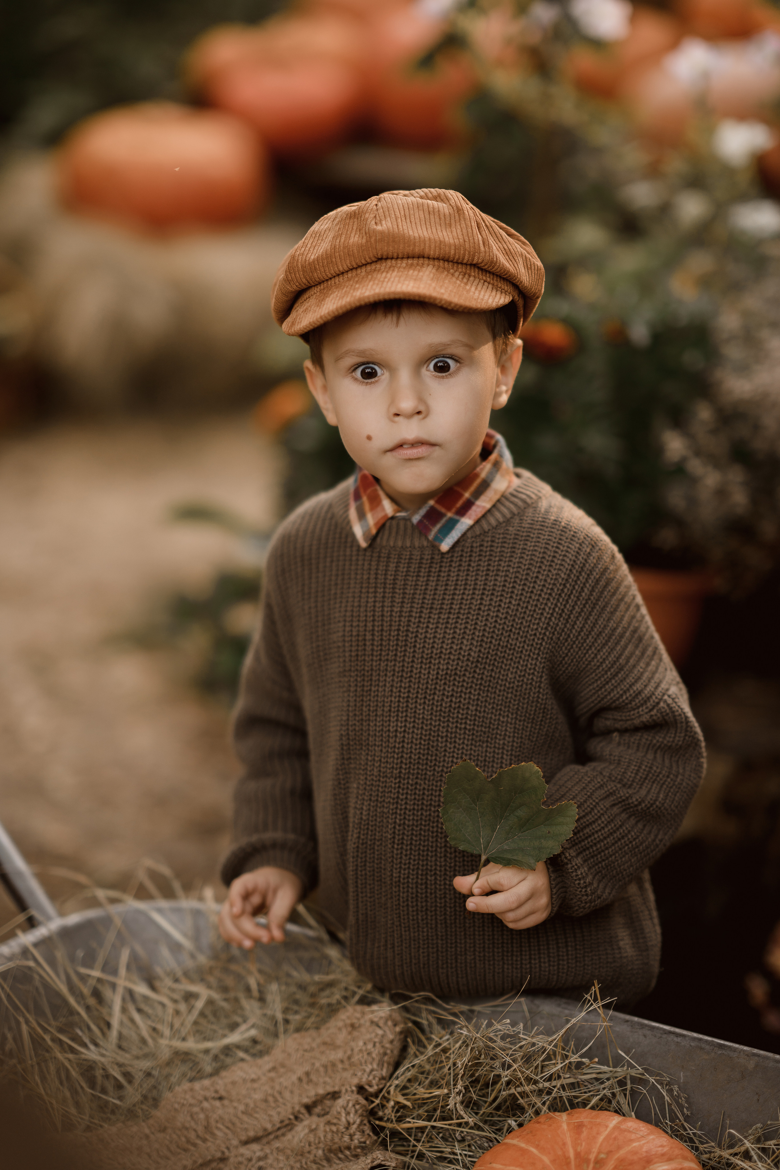 Ева и Мироша. Семейный и детский фотограф в Сергиев Посаде, Хотьково Якимчук Любовь