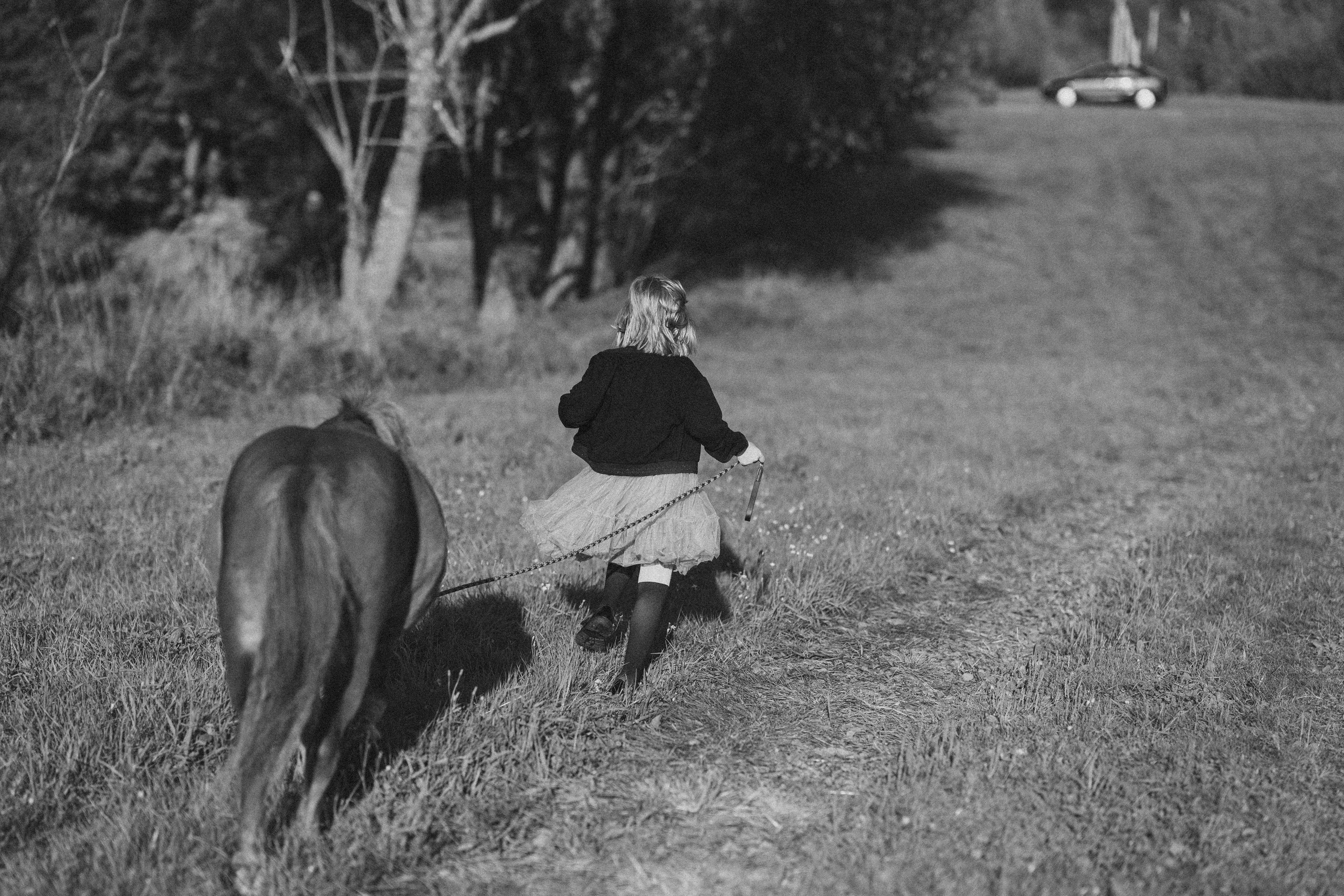 Фотосессия с американской миниатюрной лошадкой. Абрамцево. Семейный и детский фотограф в Сергиев Посаде, Хотьково Якимчук Любовь