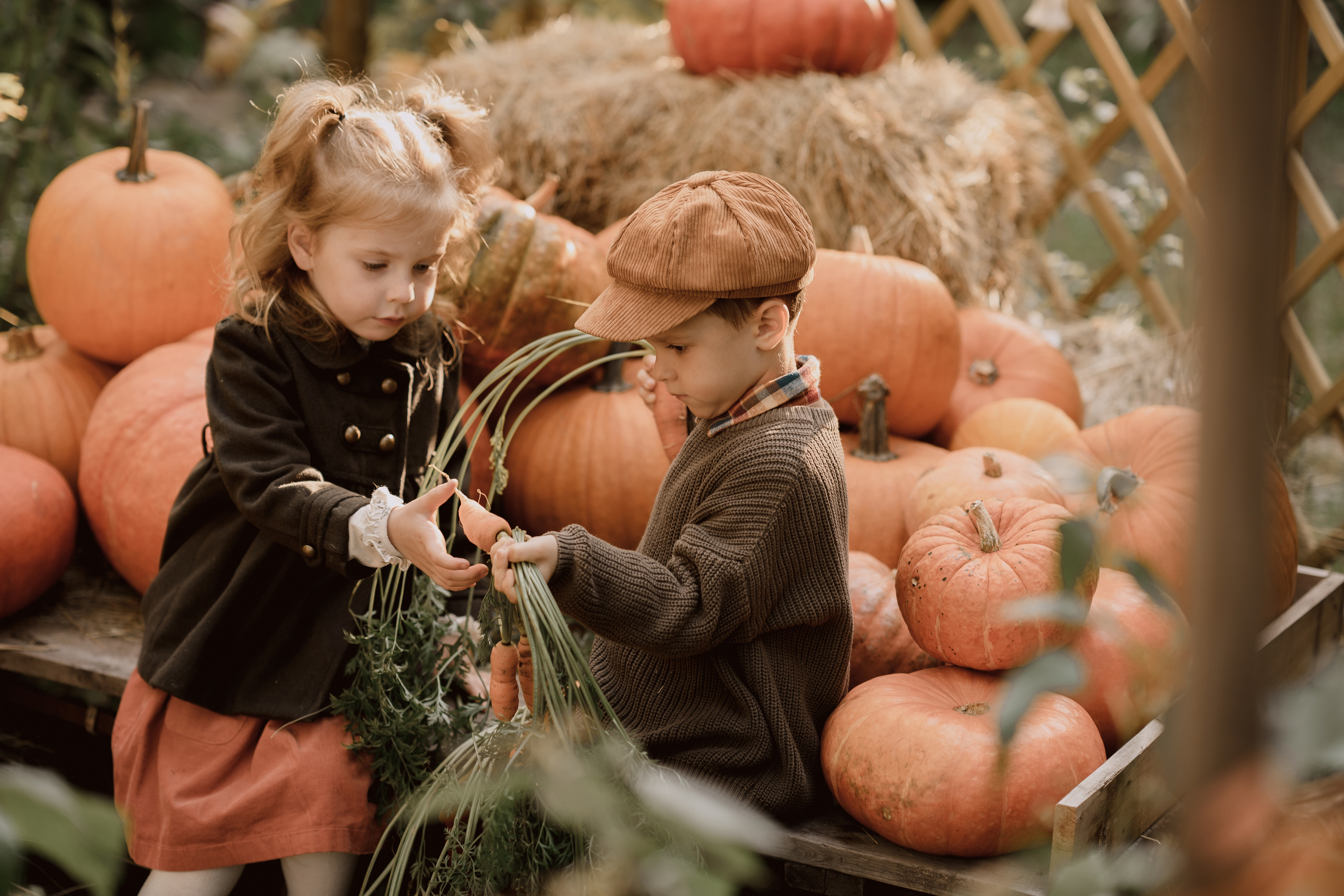 г. Пушикно Дом Элли