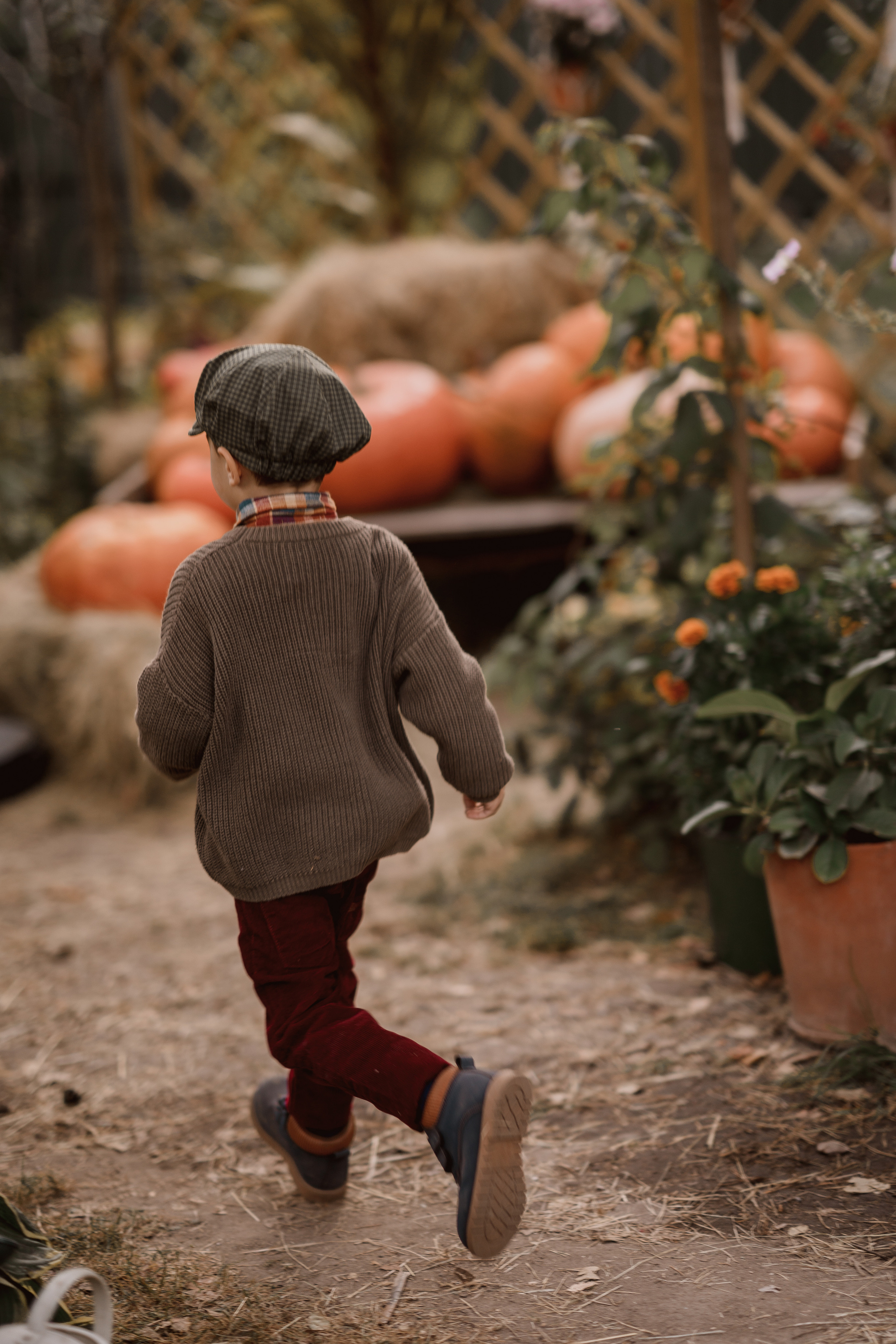 Ева и Мироша. Семейный и детский фотограф в Сергиев Посаде, Хотьково Якимчук Любовь