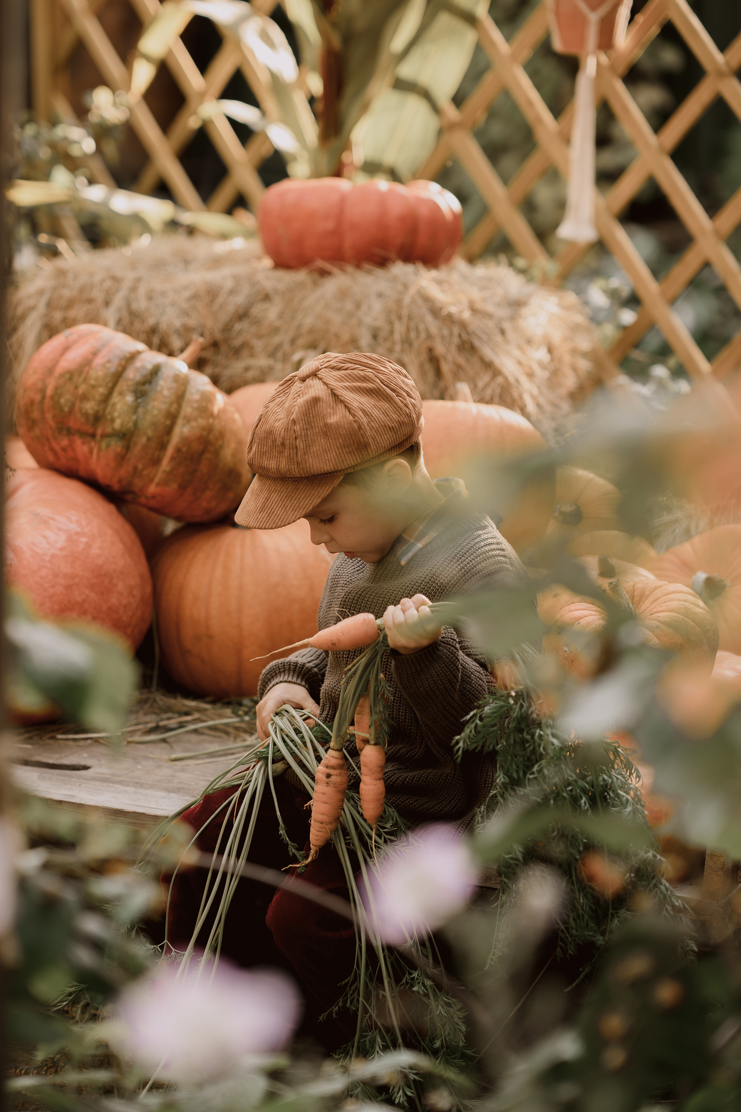 фотосессия с тыквами