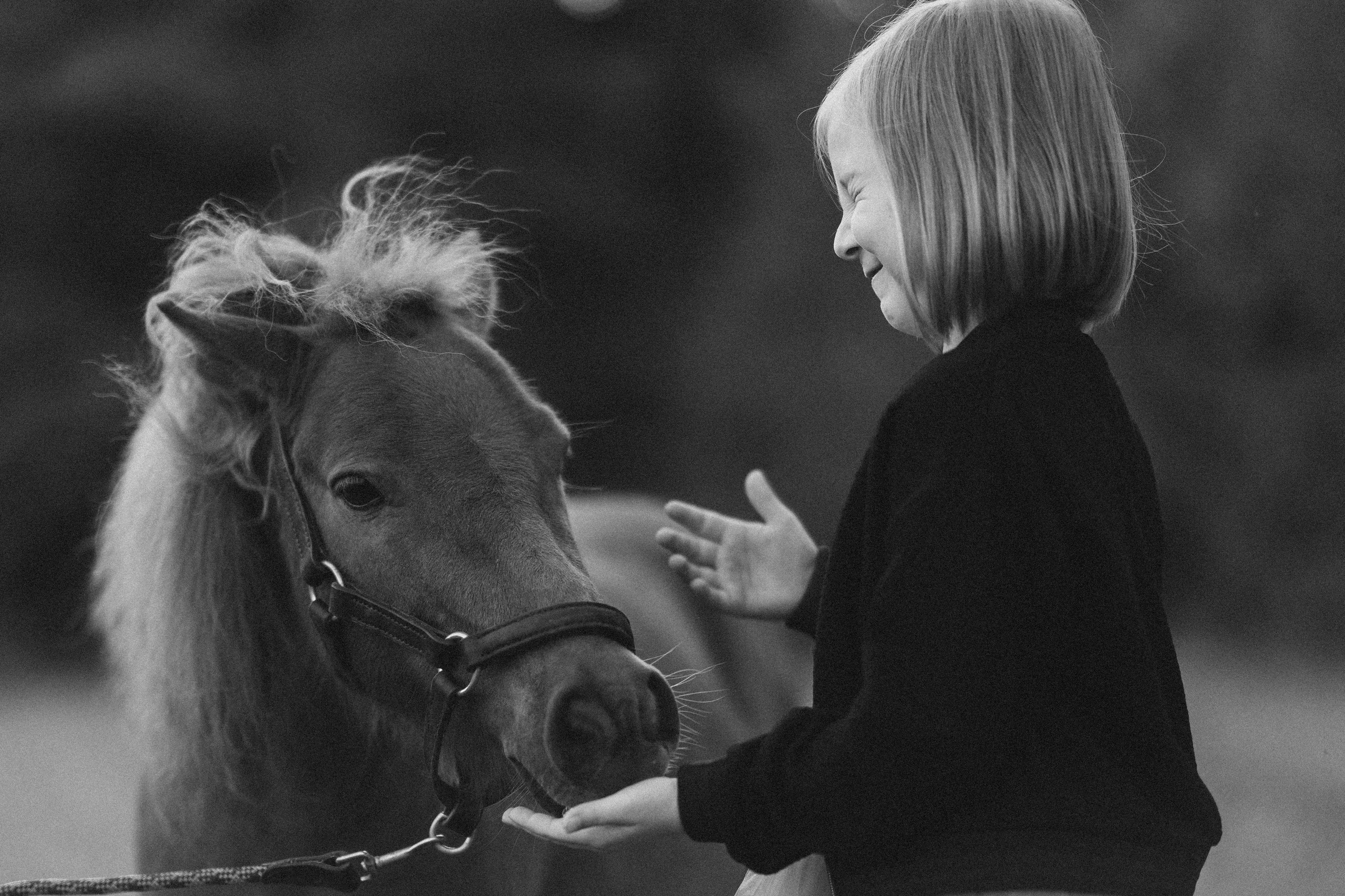 Фотосессия с американской миниатюрной лошадкой. Абрамцево. Семейный и детский фотограф в Сергиев Посаде, Хотьково Якимчук Любовь