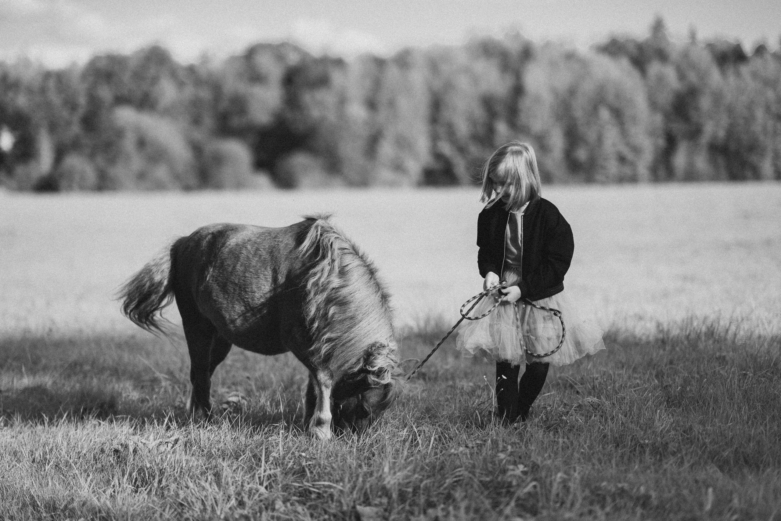 Фотосессия с американской миниатюрной лошадкой. Абрамцево. Семейный и детский фотограф в Сергиев Посаде, Хотьково Якимчук Любовь